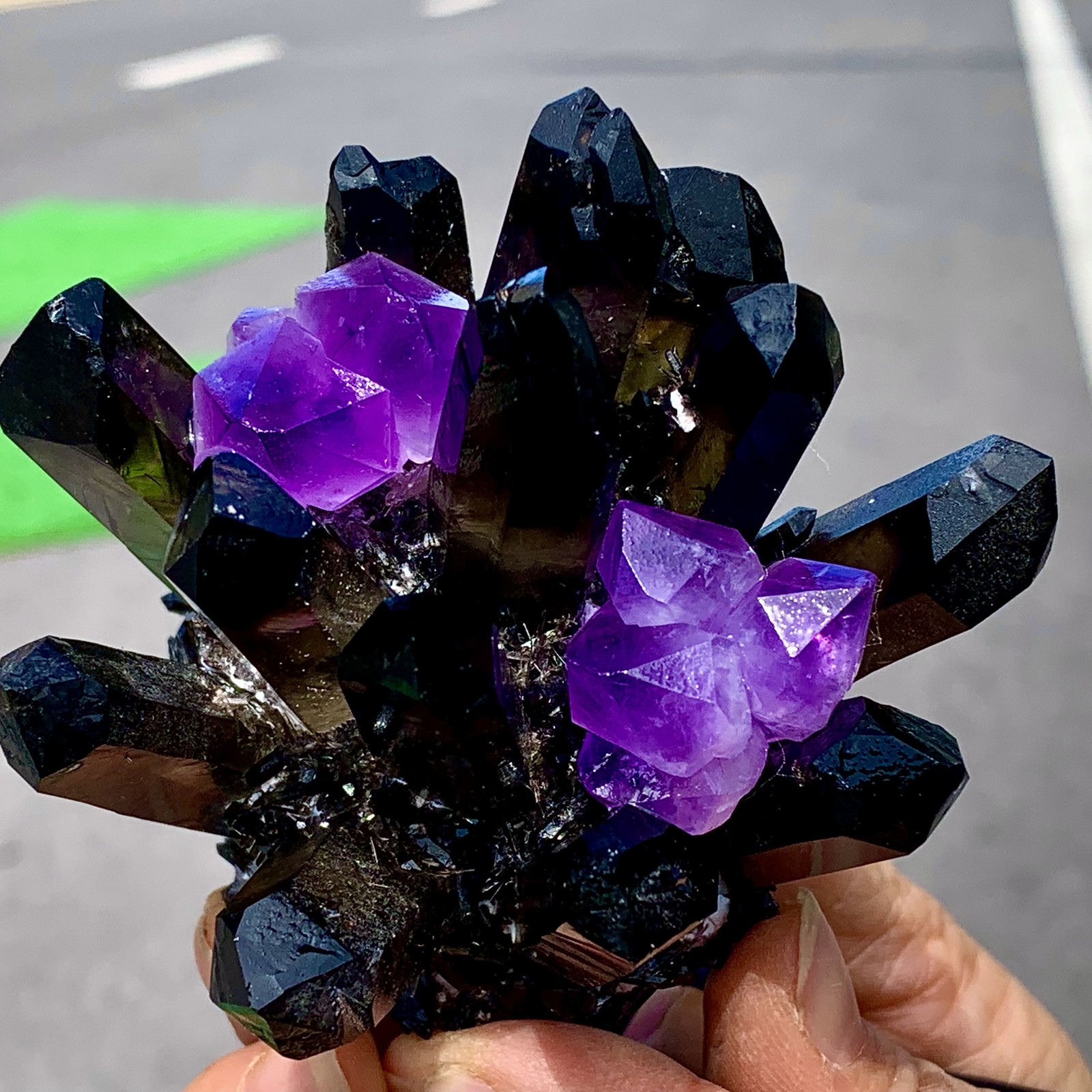 268G New Find black+purple Phantom Quartz Crystal Cluster Mineral Specimen