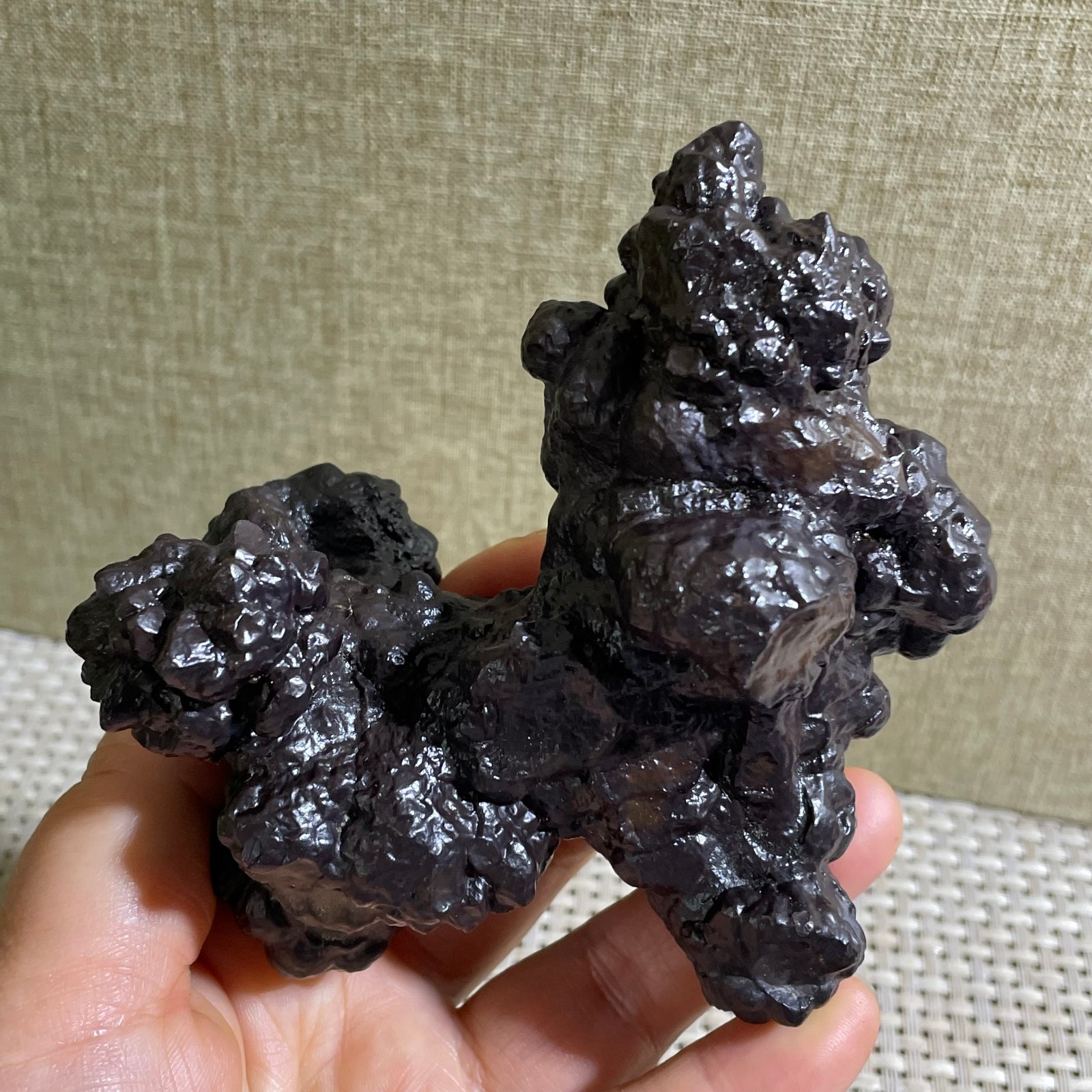 432g Limonite & Hematite pseudomorph after Marcasite Prophecy Rock Stone