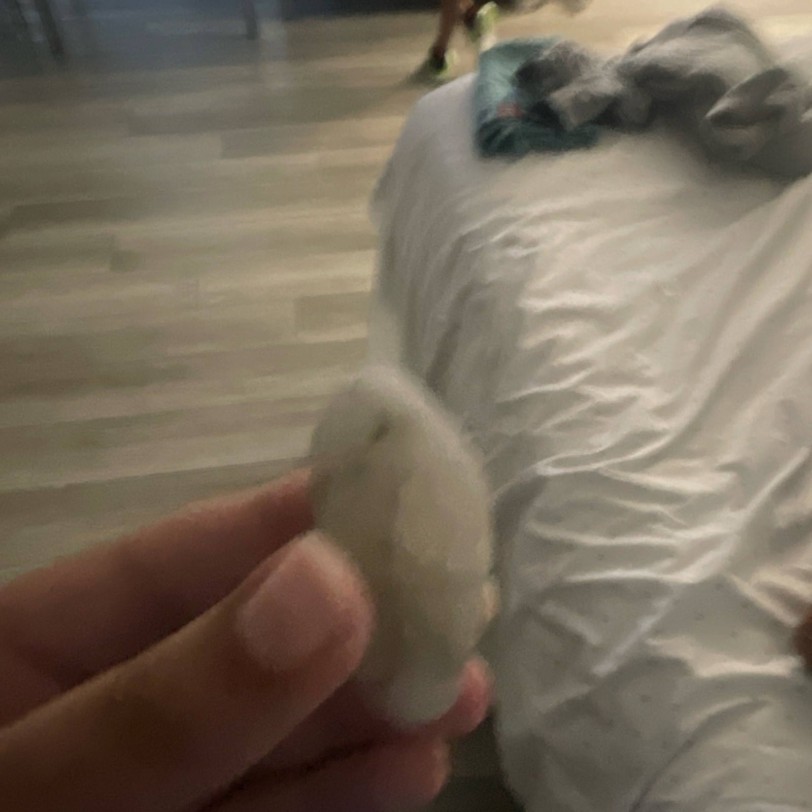 Shiny Beach Rock Pebble