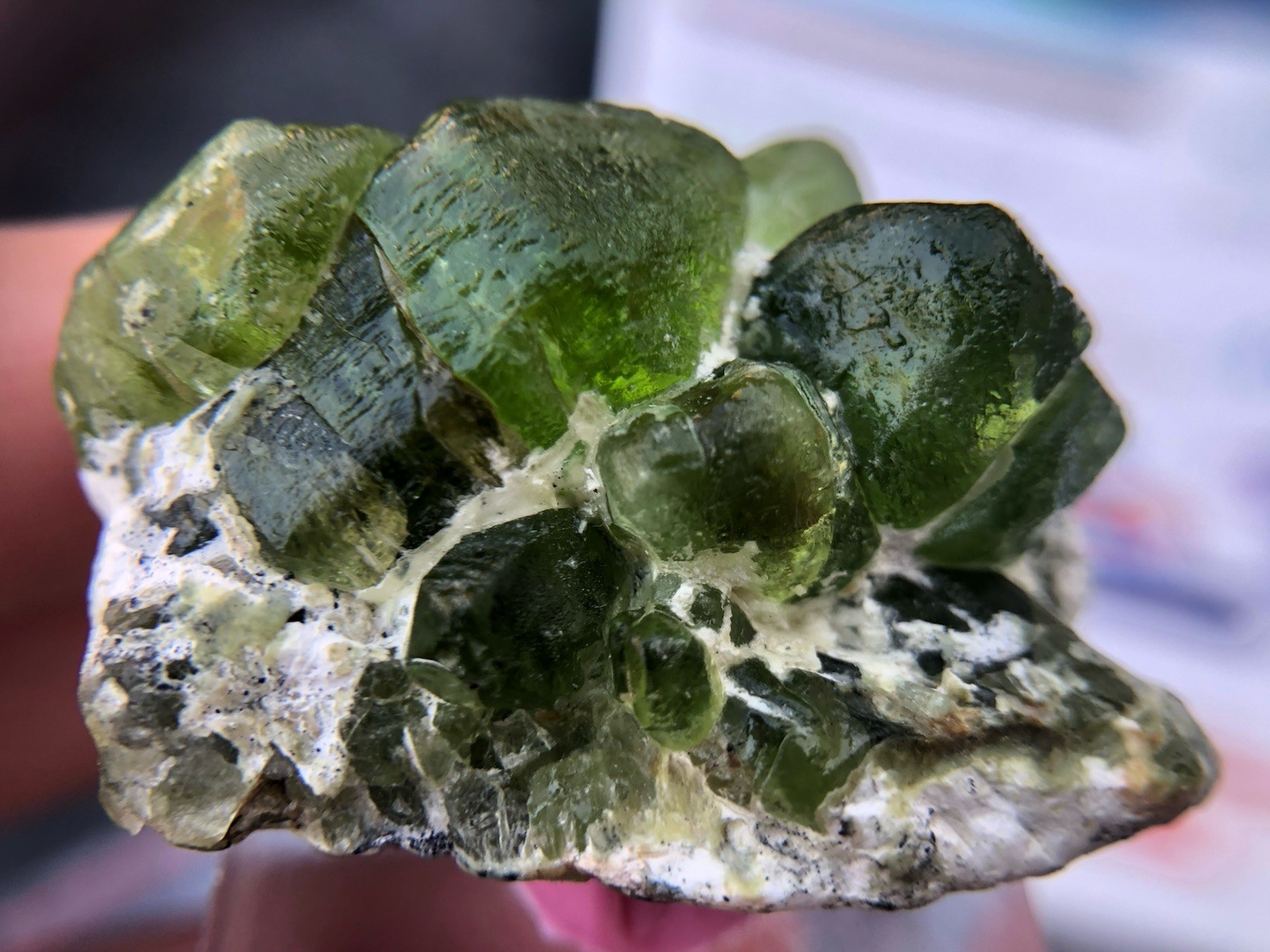 118 Carat Natural Specimen Peridot From Pakistan Sapat Mine