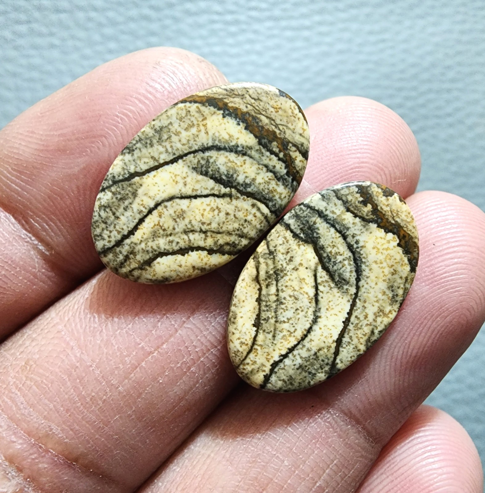 Natural Picture Jasper Matching Pair 19Ct Oval Shape Cabochon Loose Gemstone