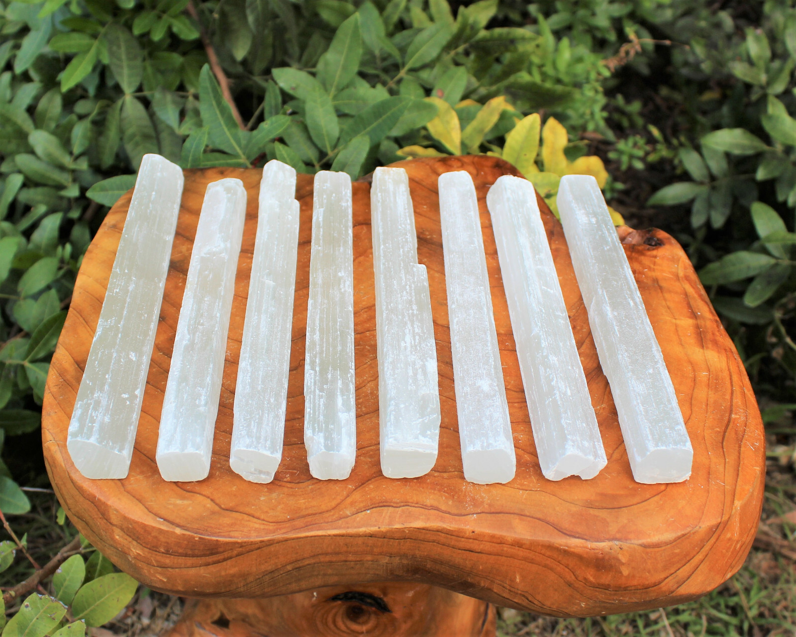 5 x Selenite Sticks, LARGE 7″ – 8″ Wand Rough Crystal Specimen Reiki Chakra