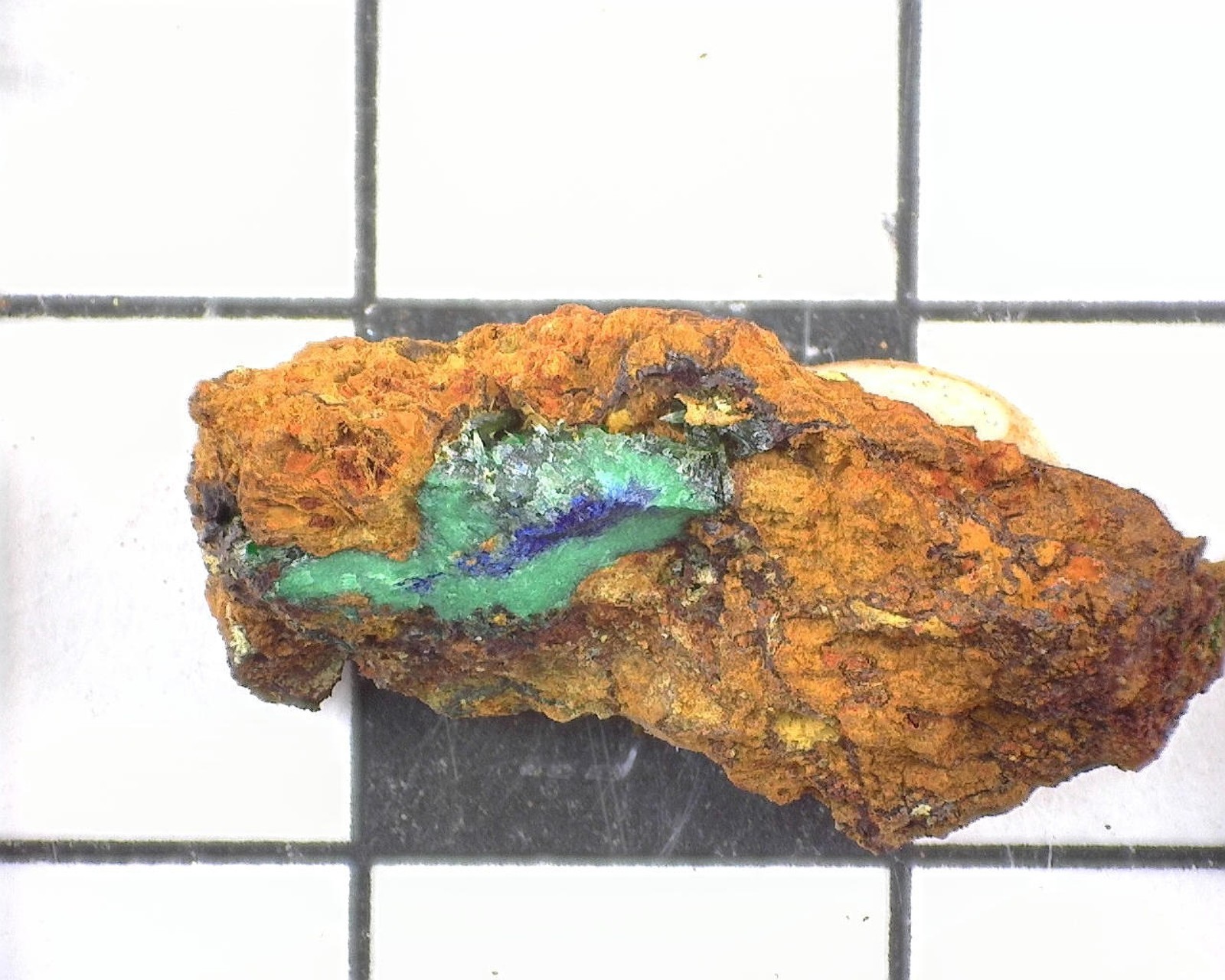 20402 MM Azurite Conichalcite Lavreotiki East Attica Attica Greece 14187