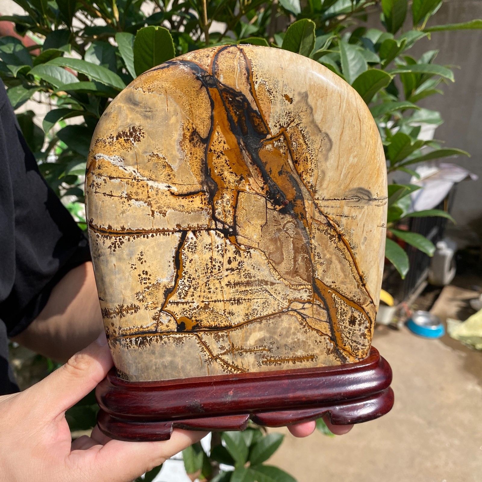 3lb Natural Dendritic Limestone Picture Stone Chinese painting stone Specimen
