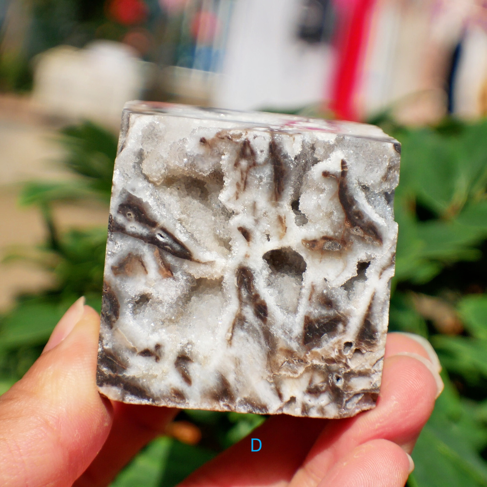 2″ Sphalerite Druzy Geode Cube Crystal Healing Gemstone Natural Mineral Specimen