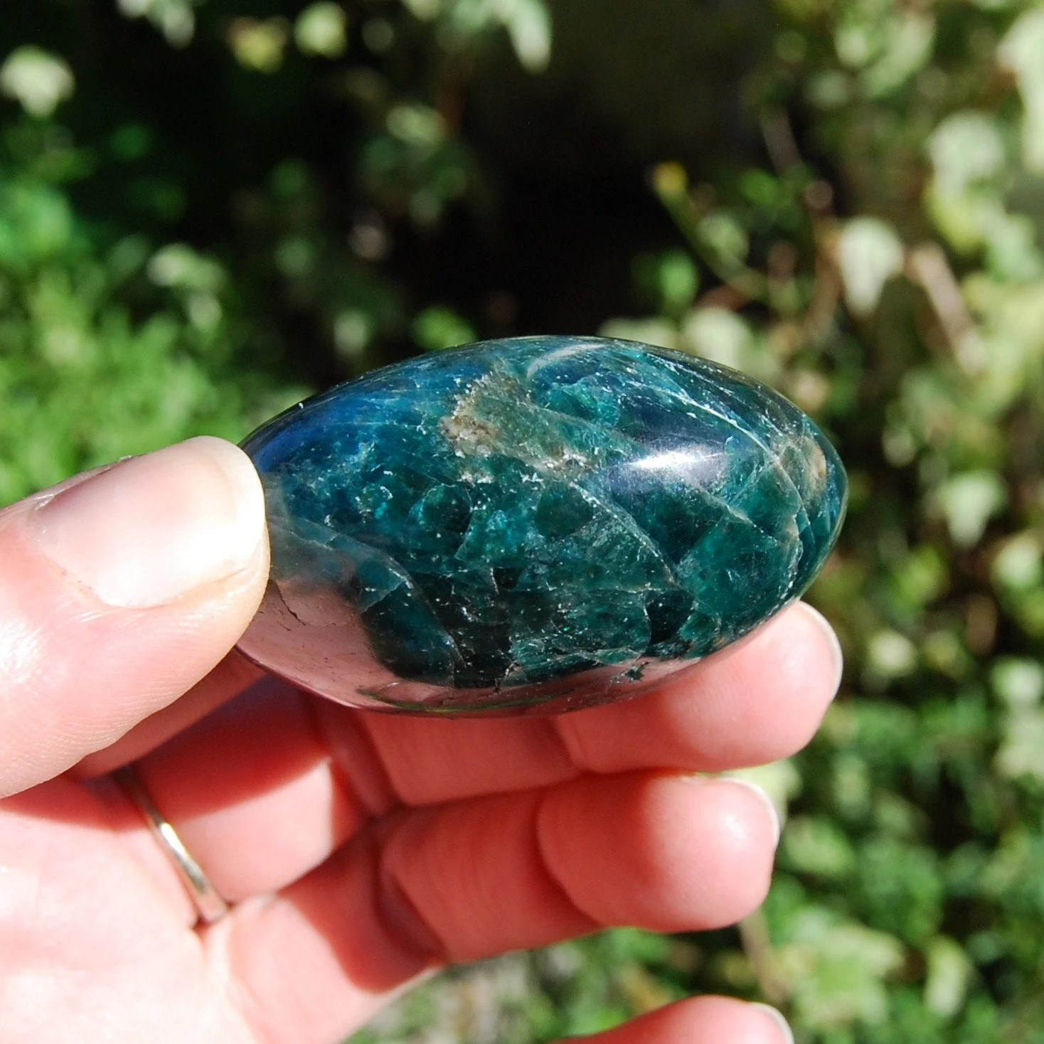 ONE Natural Gemmy Apatite Crystal Palm Stone, Madagascar
