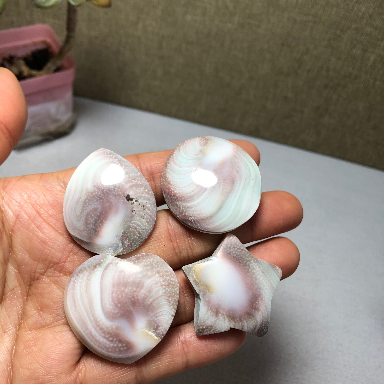 4pcs Rare sun shell Reiki Shiva Eye ocean semi-precious stone 75g A2758