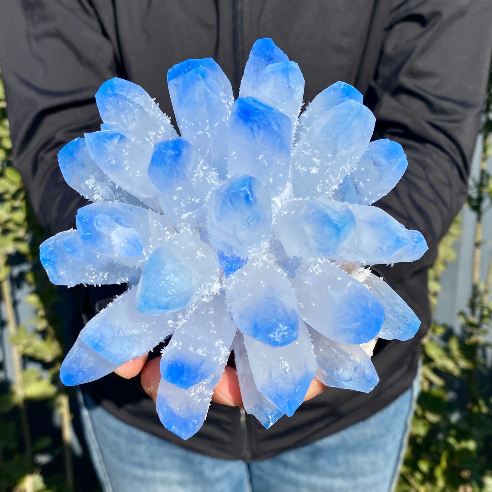 2.4LB New find blue phantom crystal quartz cluster mineral specimen healing