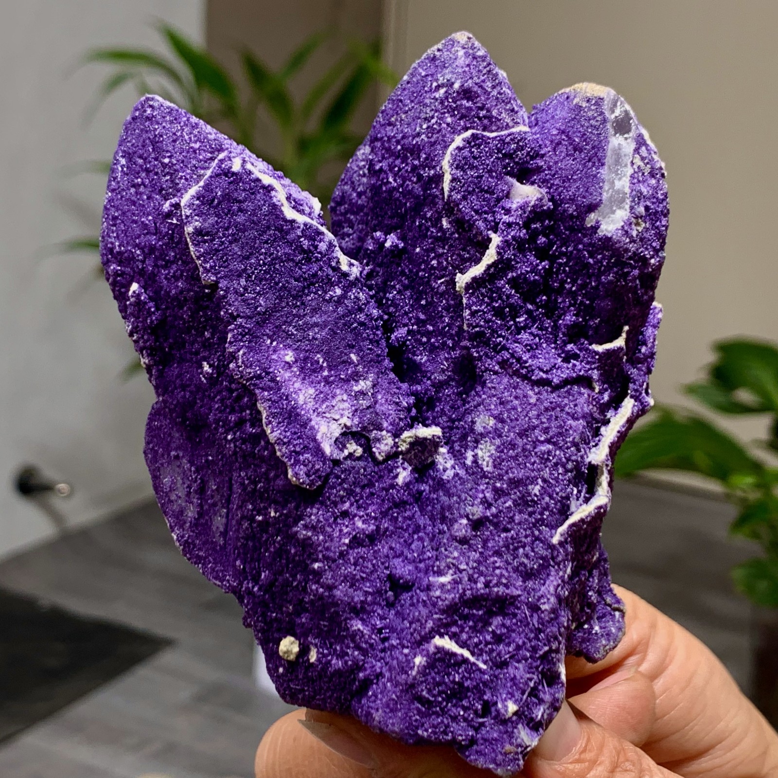 449G Natural purple fluorite wrapped candle crystal cluster mineral crystals