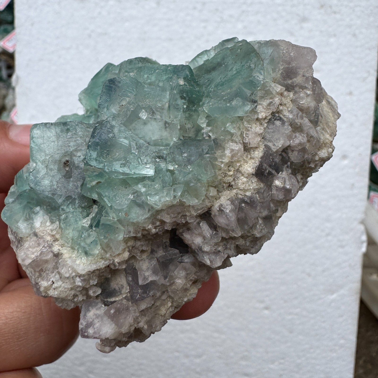 205g Natural Green cube FLUORITE Quartz Crystal Cluster Mineral Specimen