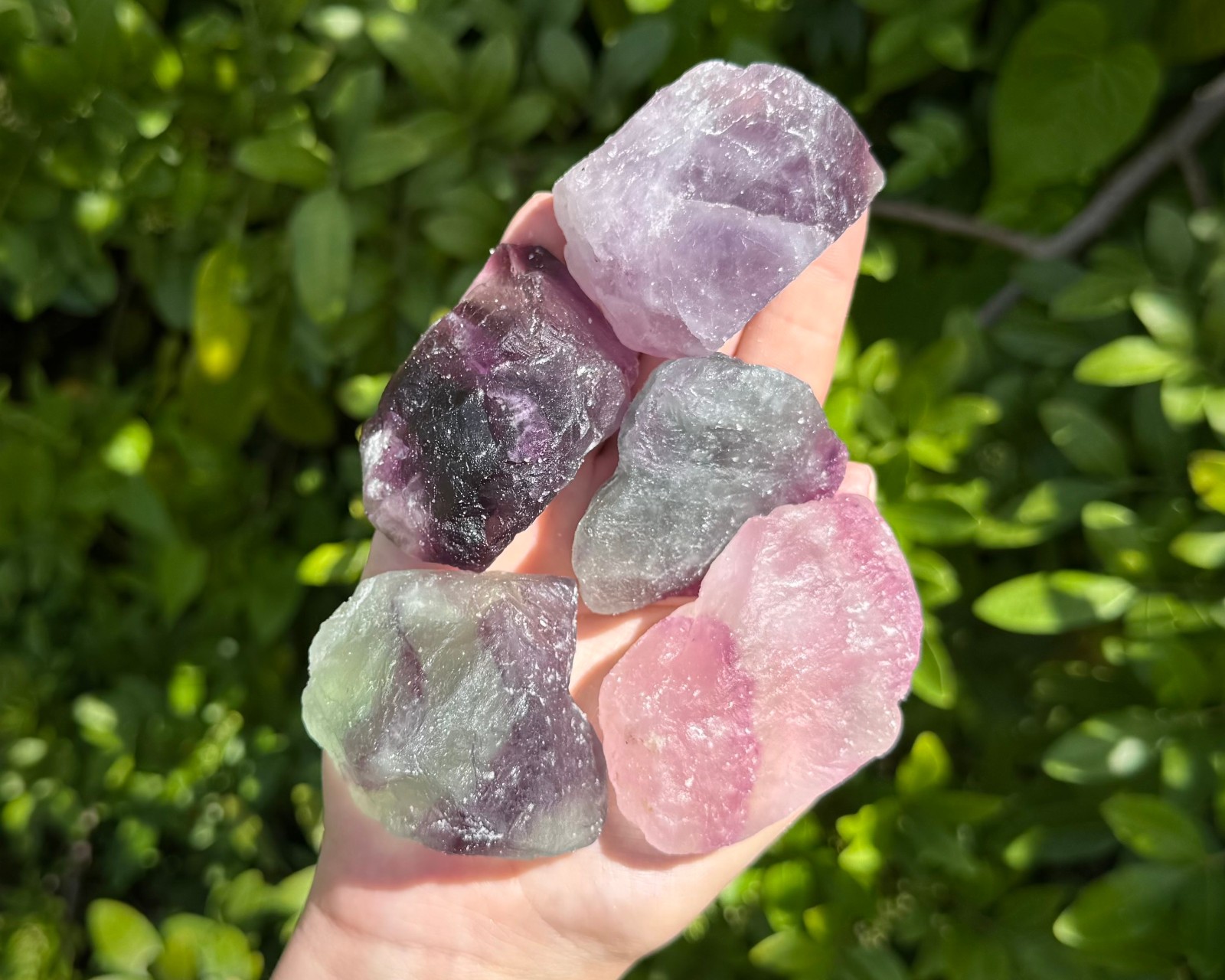 LARGE Rough Fluorite Crystals (2-3.5″) Wholesale Bulk Lots (Rainbow Fluorite)