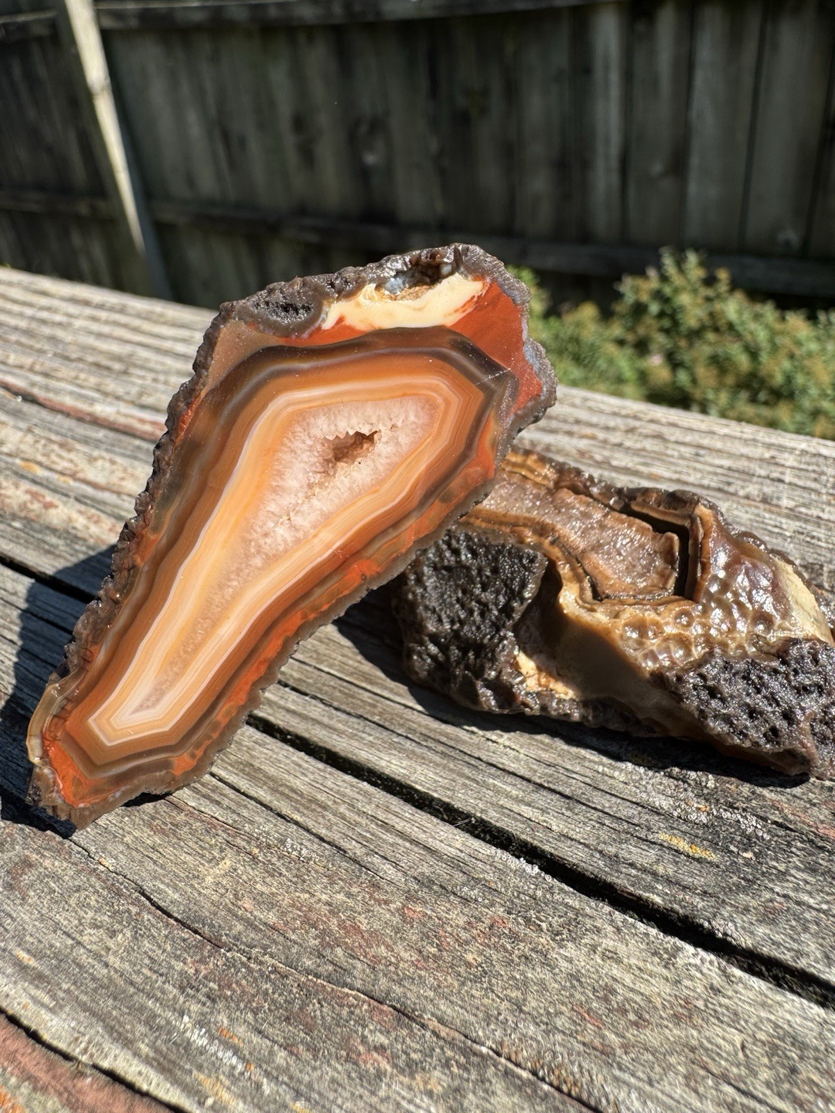 4.4oz Sumatran Agate *Rough Cut Natural Gemstone Collector Specimen ✨