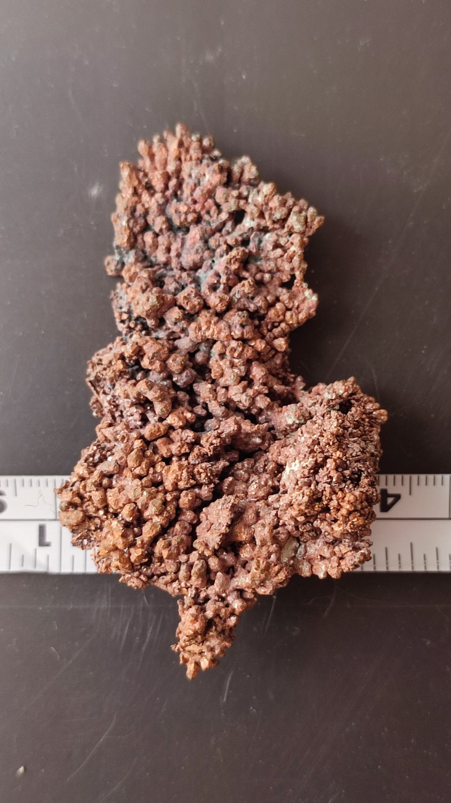 DENDRITIC NATIVE COPPER CRYSTALS SIZE 6x4cm, 52 gr. BOLIVIA, WATCH VIDEO