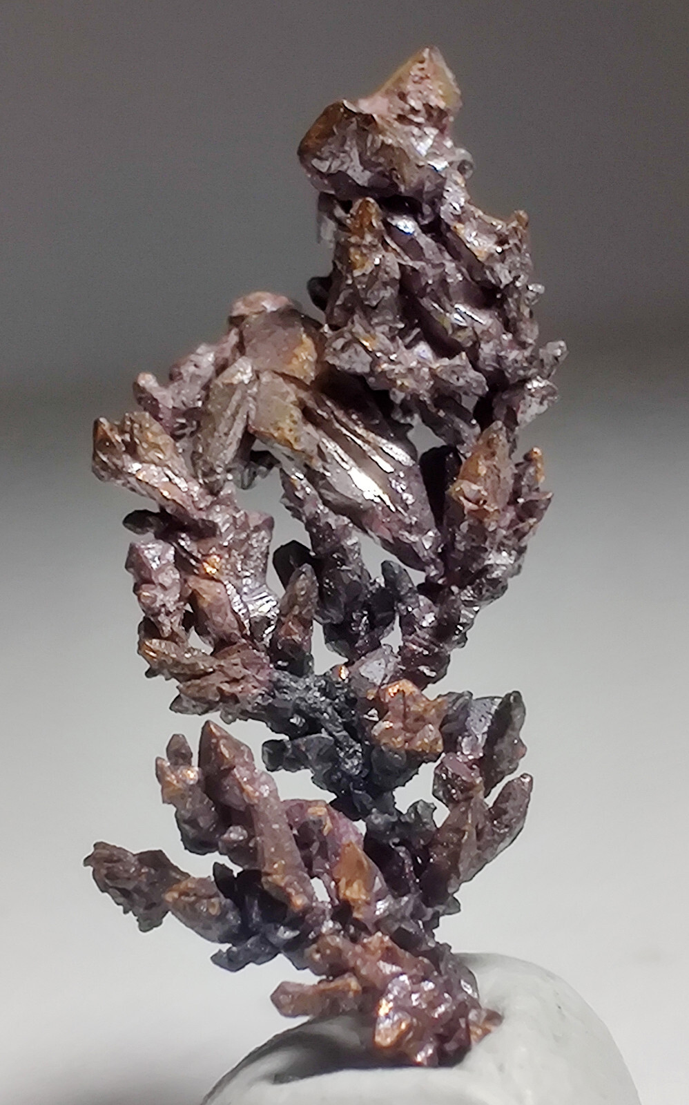 Copper crystals, lovely aborescent form. Itauz Mine, Kazakhstan. 2.5 cm.