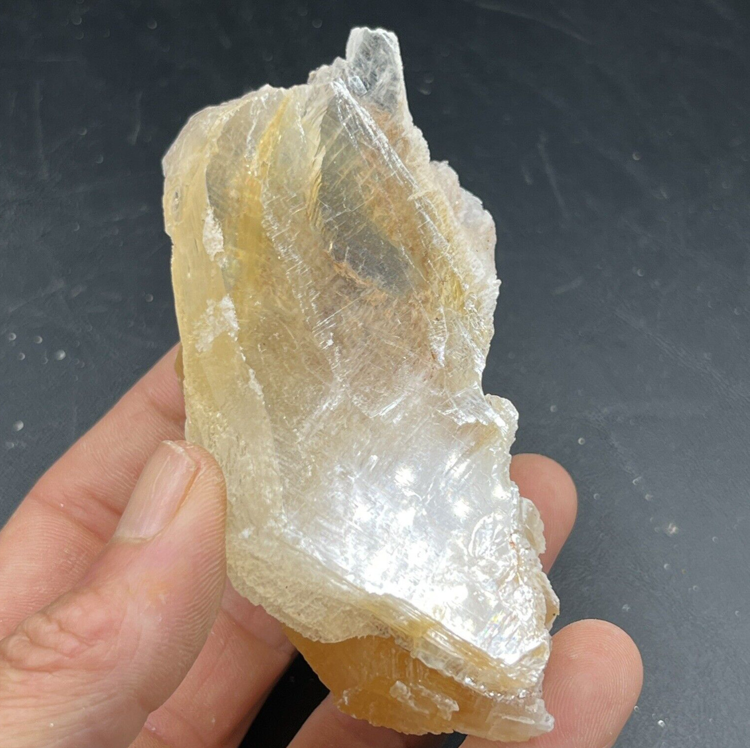Golden Phantom Selenite Cluster aka: Gypsum | Utah