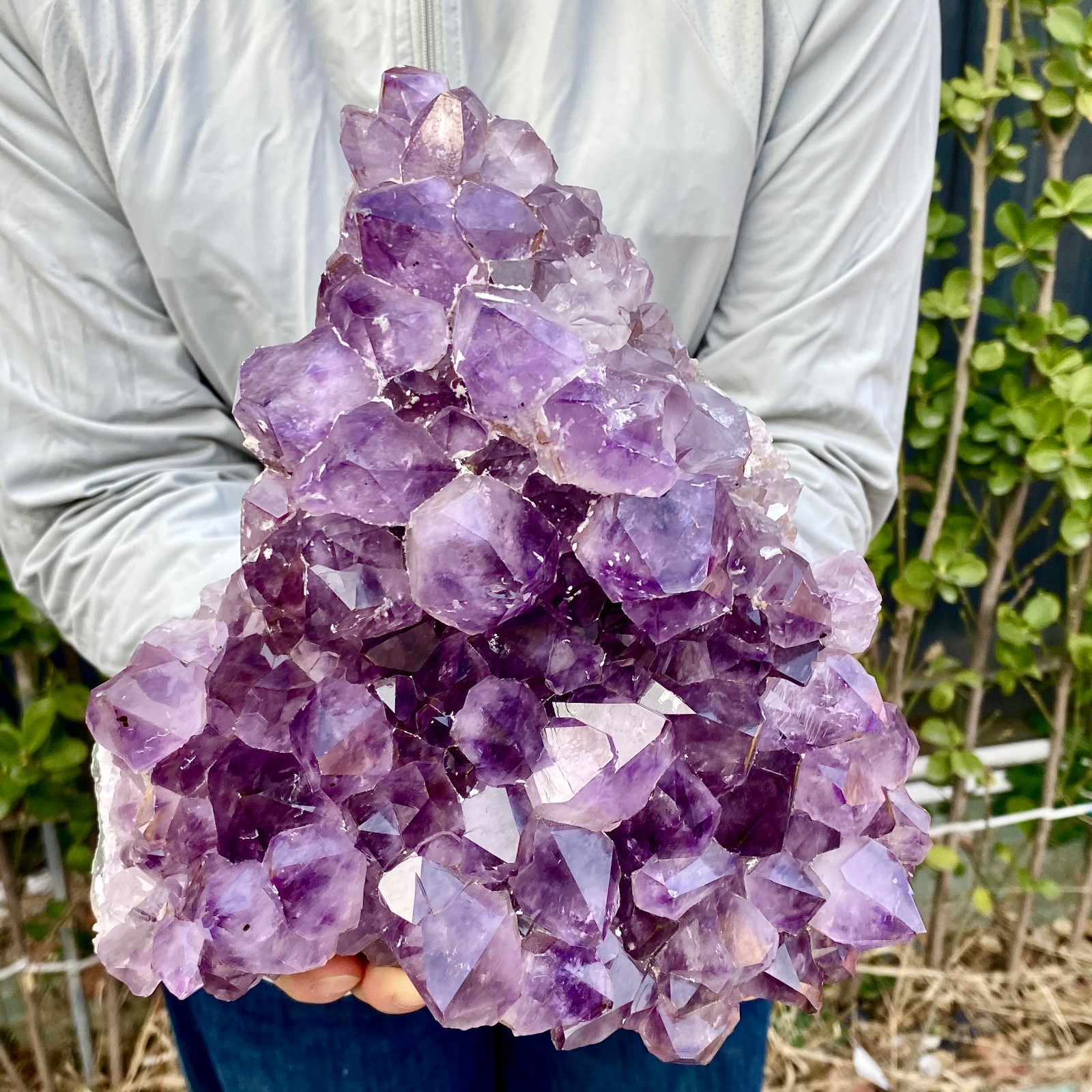 8.8LB Natural Amethyst geode quartz cluster crystal specimen Healing