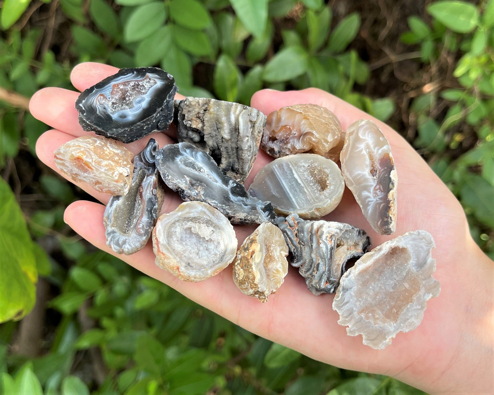 Oco Agate Geodes 1/2 lb Box Lot – ‘B’ Grade Natural Crystal Agate Druzy Halves