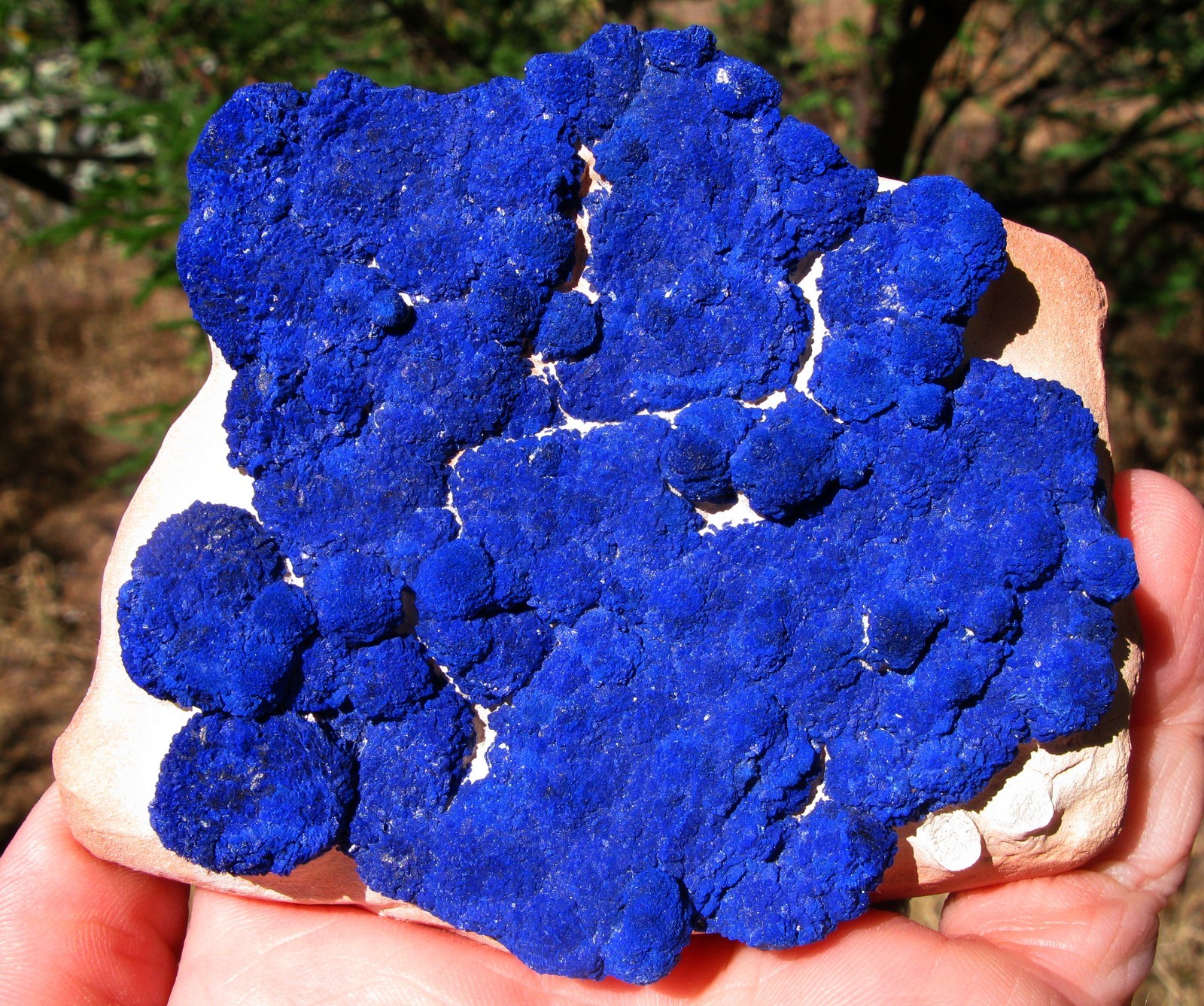 AZURITE SUN Crystal Mineral Specimen Concretion Matrix Suns AUSTRALIA USA SELLER