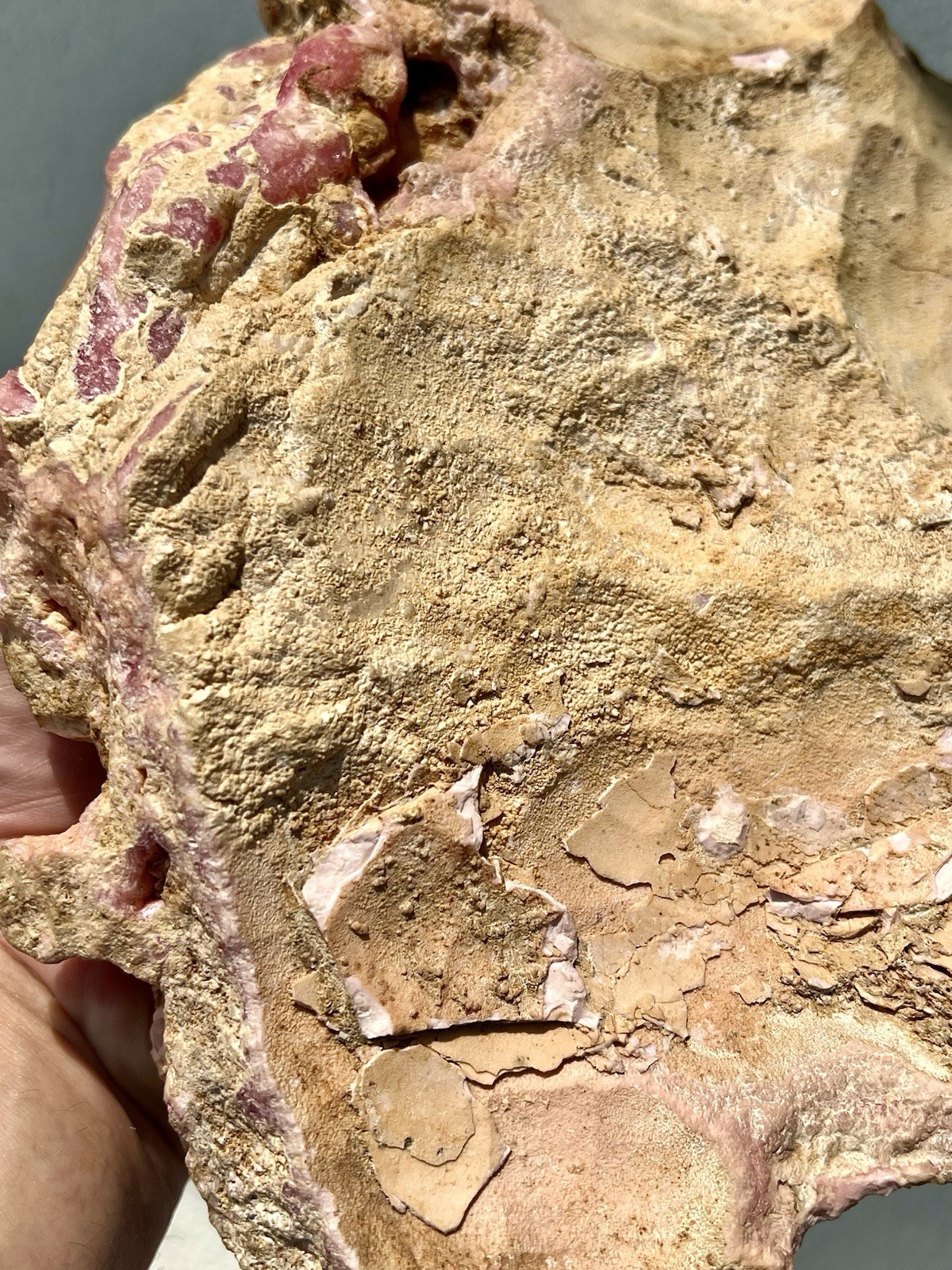 6.8 Pound: Rhodochrosite Stalactite Cluster Massive Ortiz, Capillitas, Argentina