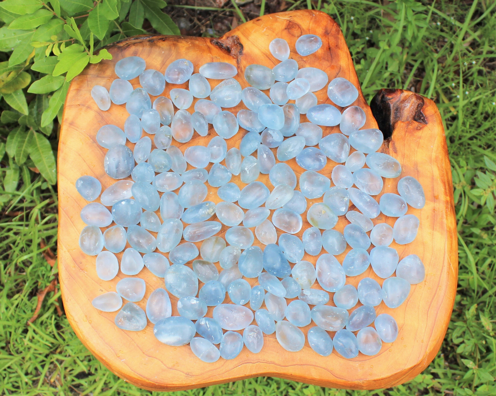 1 Medium Blue Celestite Tumbled Stone (Crystal Healing Rare Gemstone Celestine)