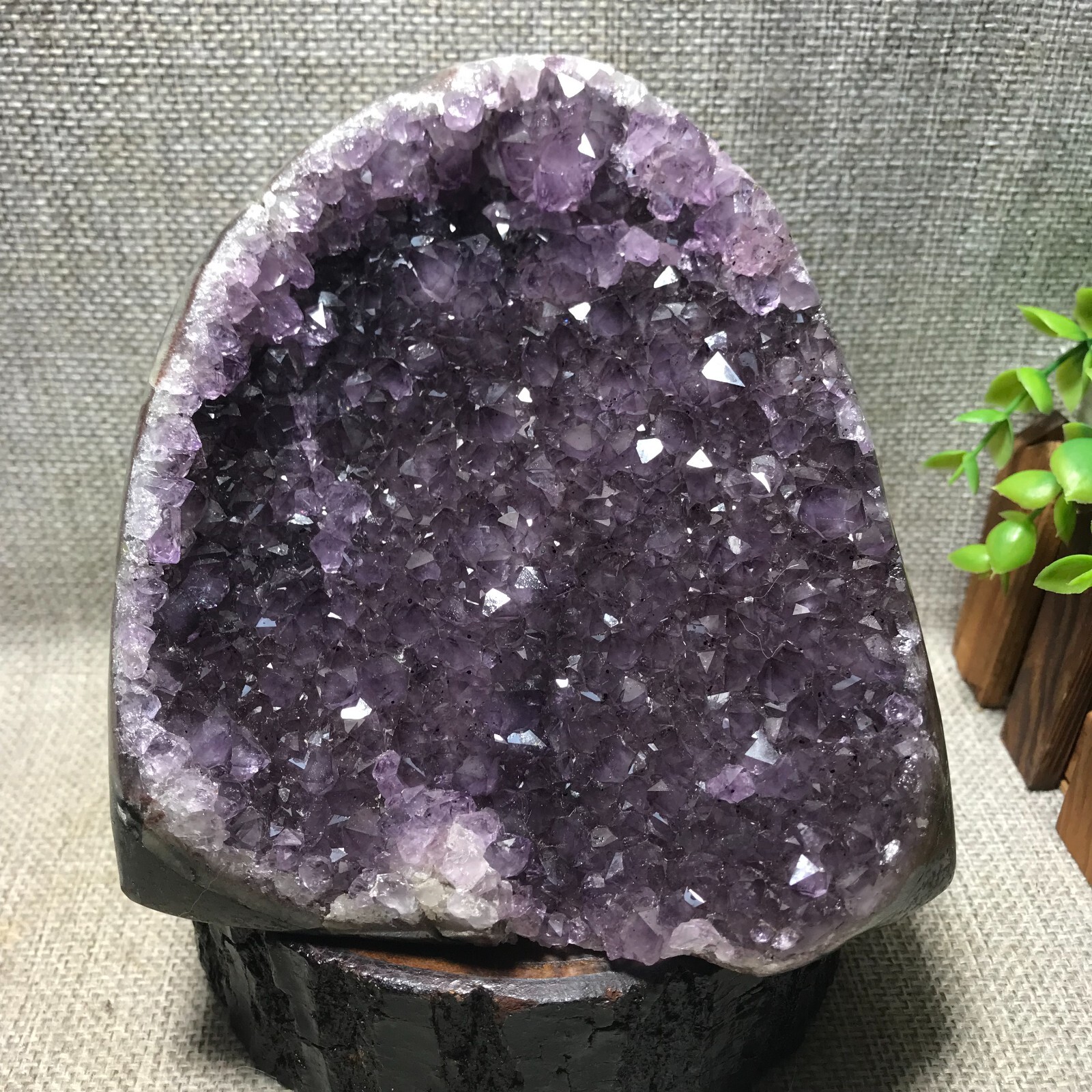 1570g Natural Amethyst Cluster Geodes Cut Base Quartz Crystal Healing 33