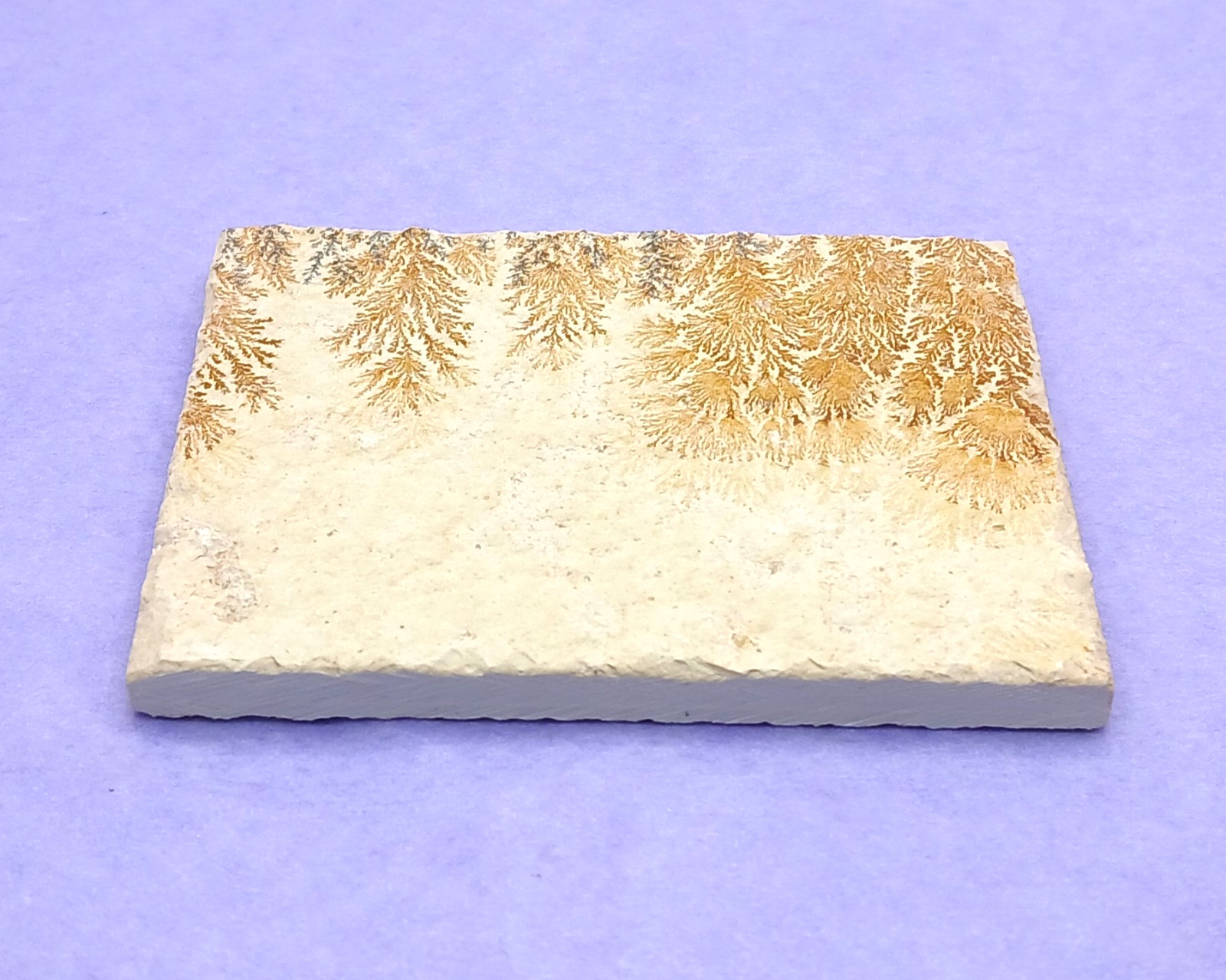 Manganese Oxide Dendrites Plaque 80mm Bavaria Germany in Presentation Box