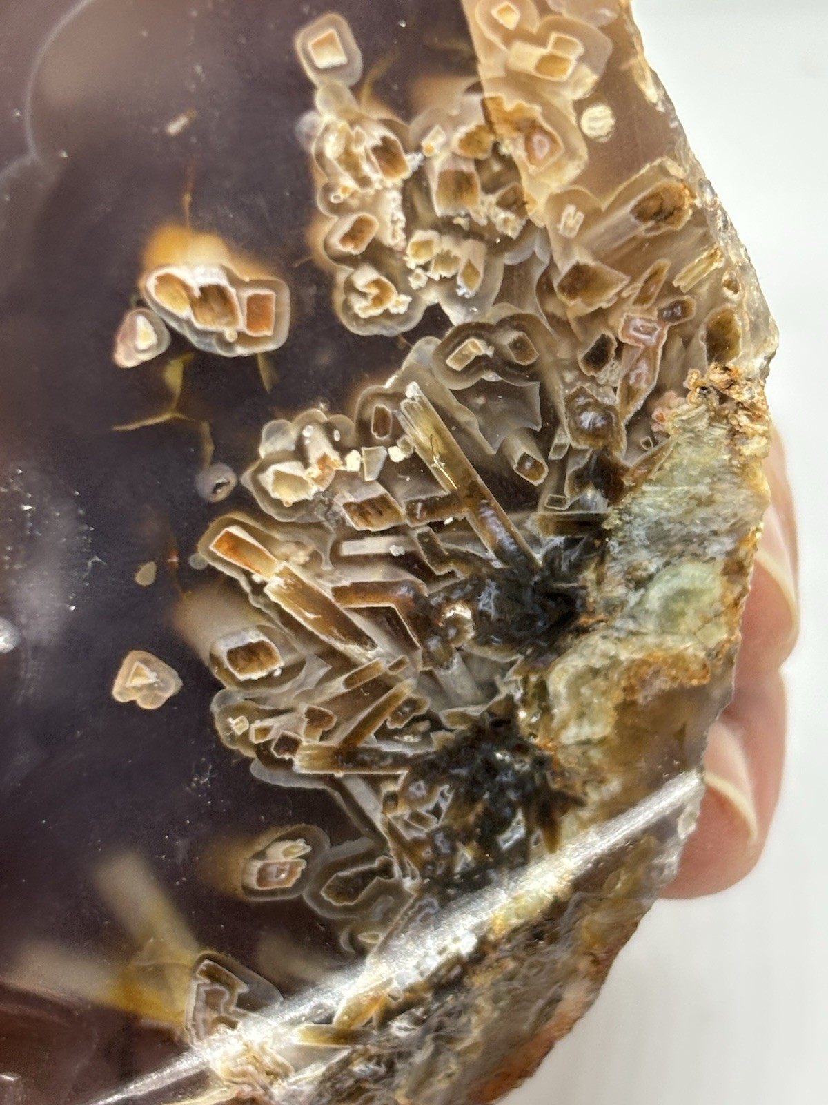 419g Rare Ankara Sagenite Agate Unpolished Natural Turkish