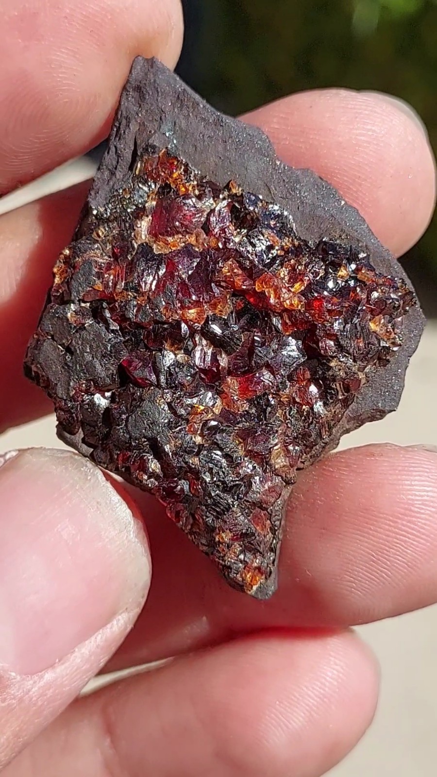 ULTRA RARE GEM RHODOCHROSITE ON MATRIX N’Chwaning I Mine, KMF, South Africa