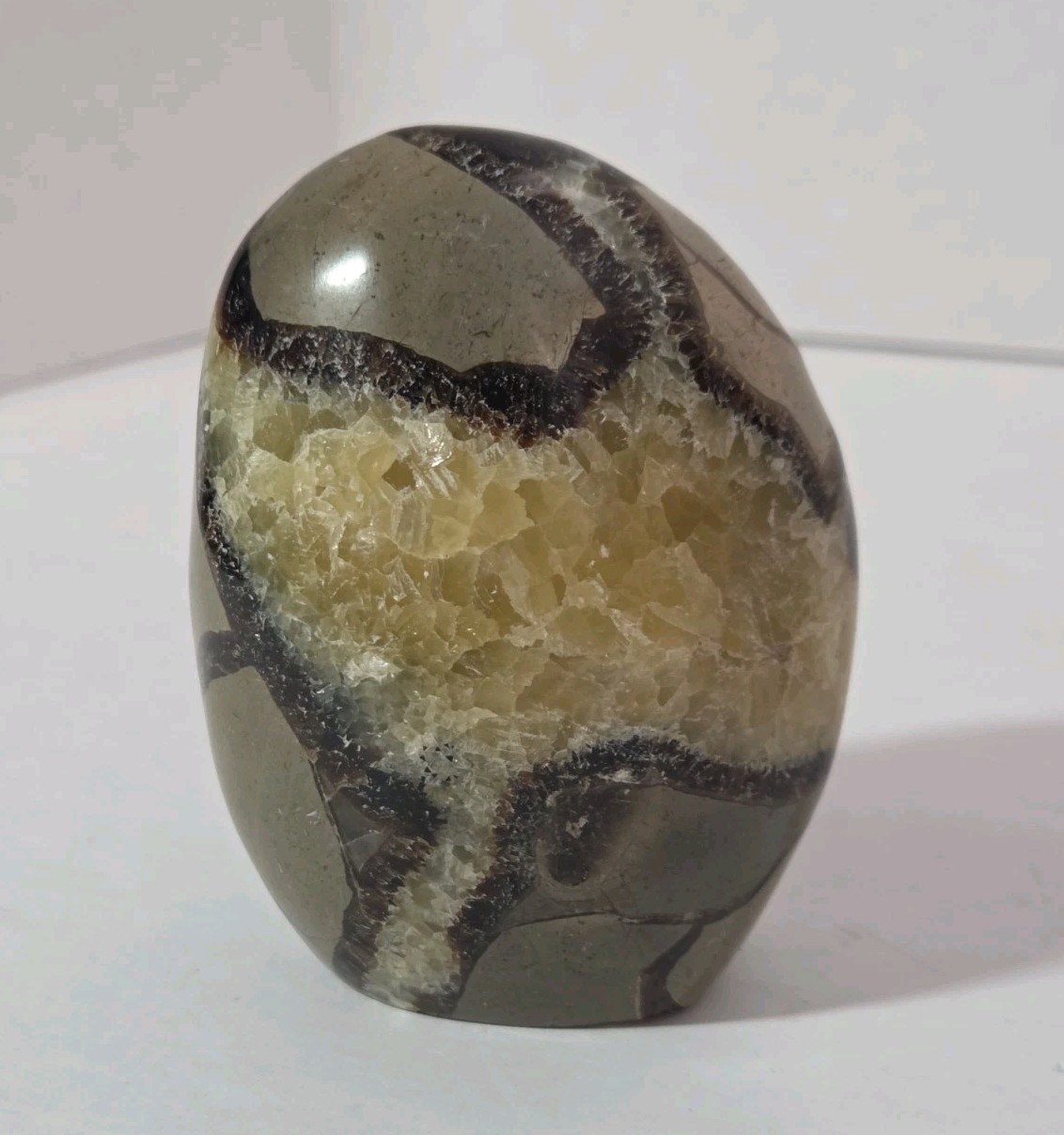 Septarian Polished Egg Prime Specimen Crystal Stone Mineral 8.61 Grams