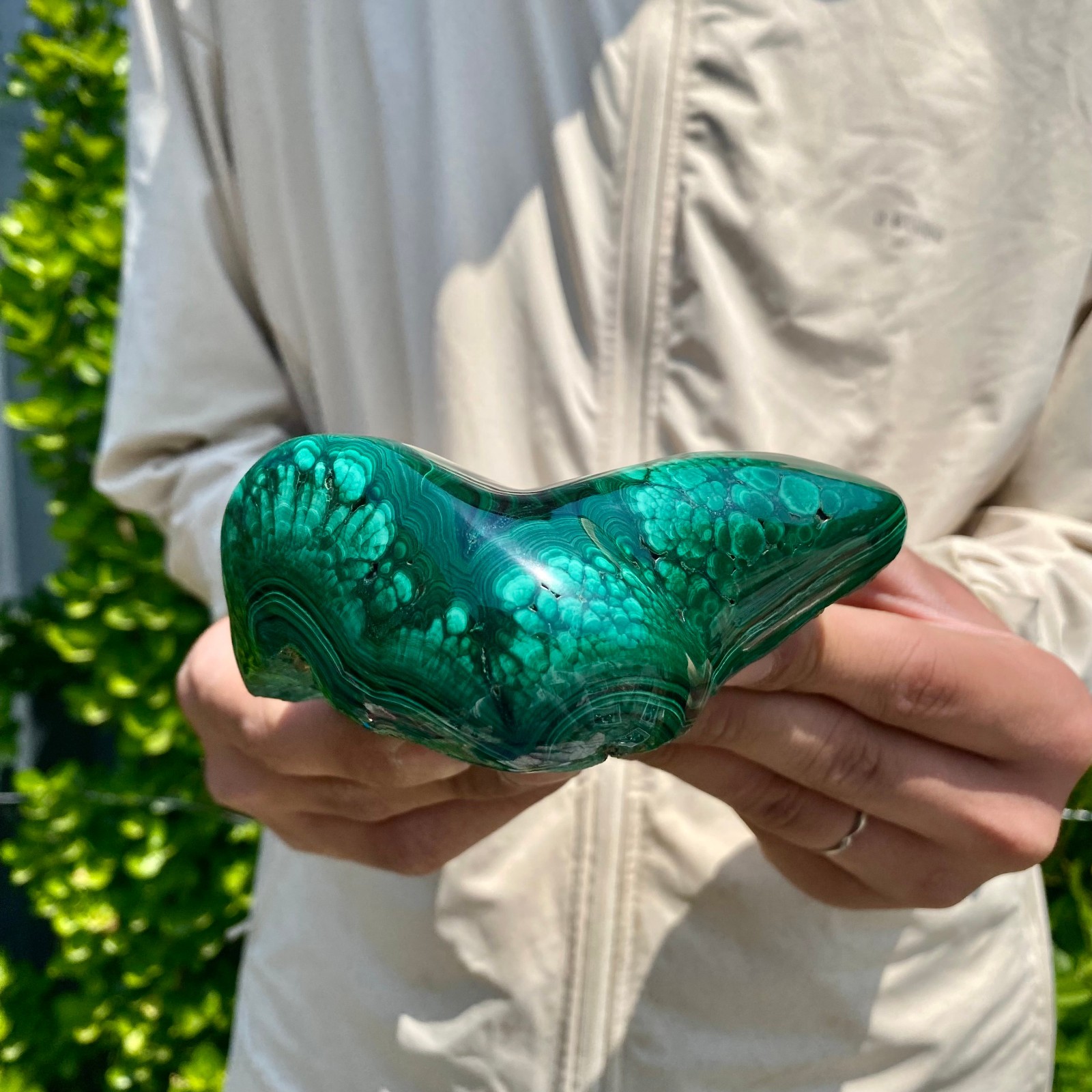 2.42LB Natural glossy Malachite transparent cluster rough mineral sample