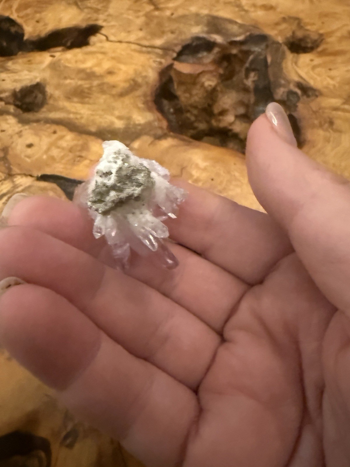 Veracruz amethyst crystal Cluster collector specimen w Druzy