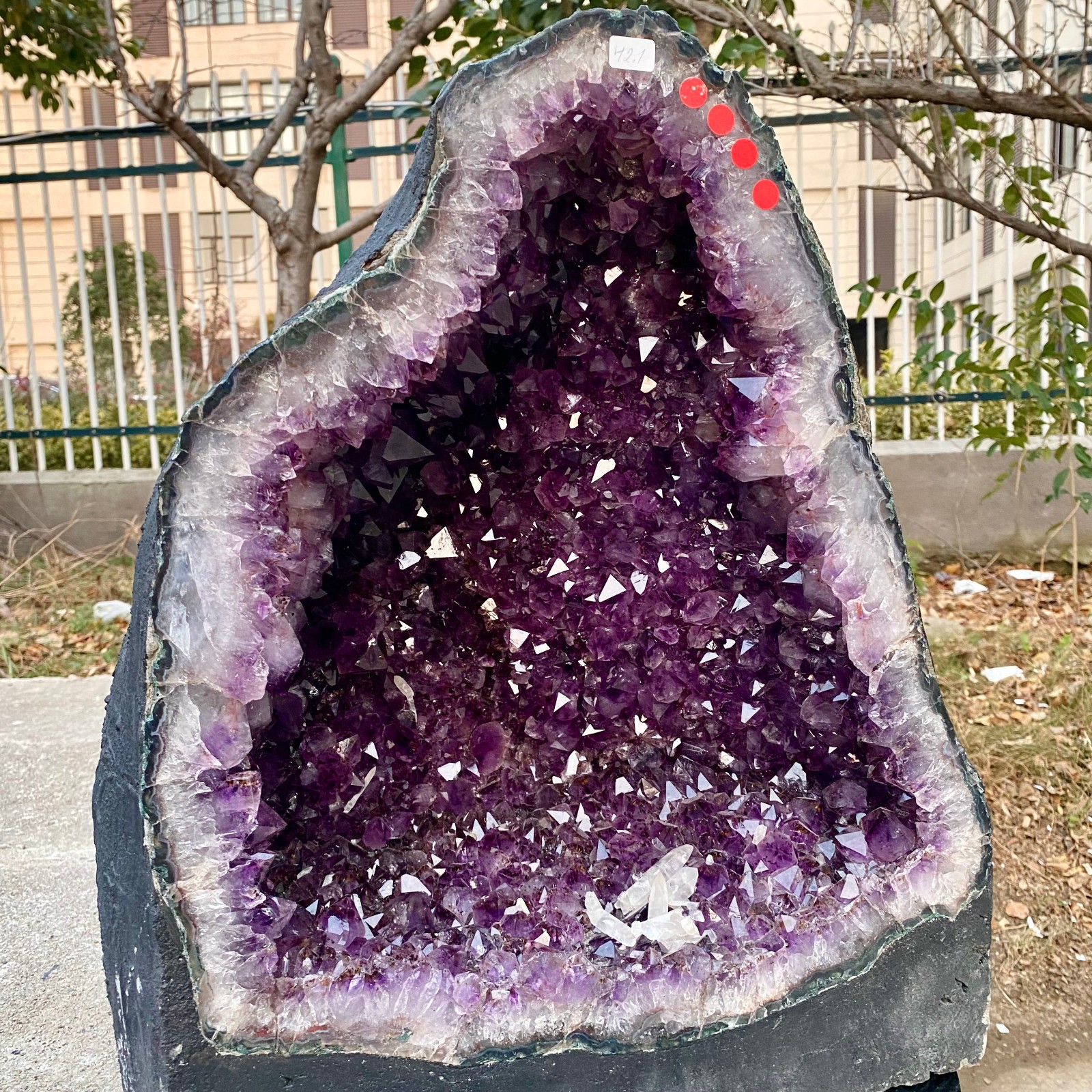 92.8LB Natural Amethyst Geode Quartz Crystal Cluster Cathedral Energy healing