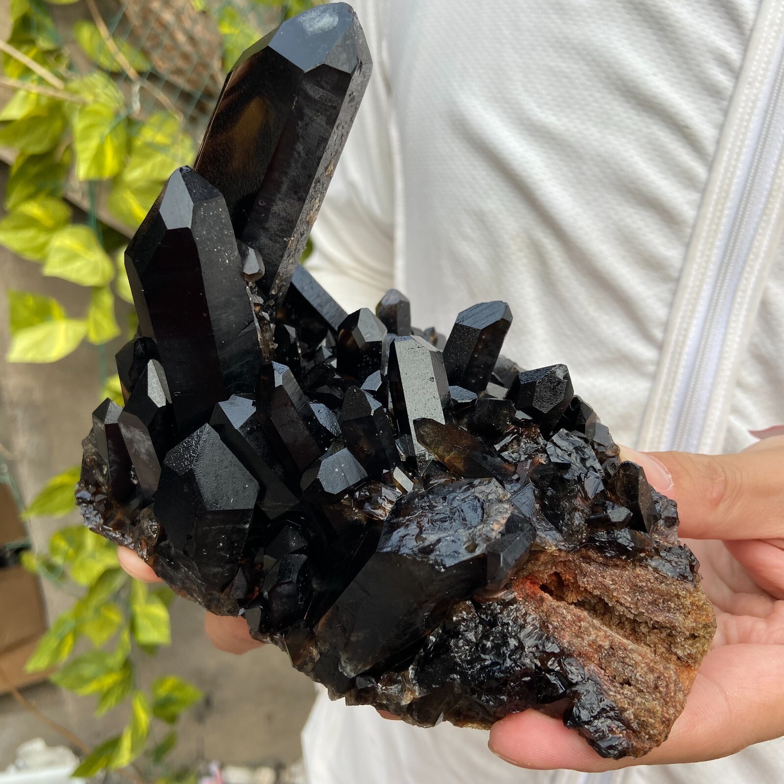 1100g Natural Black Smoky Quartz Crystal Cluster Rough Mineral Specimen