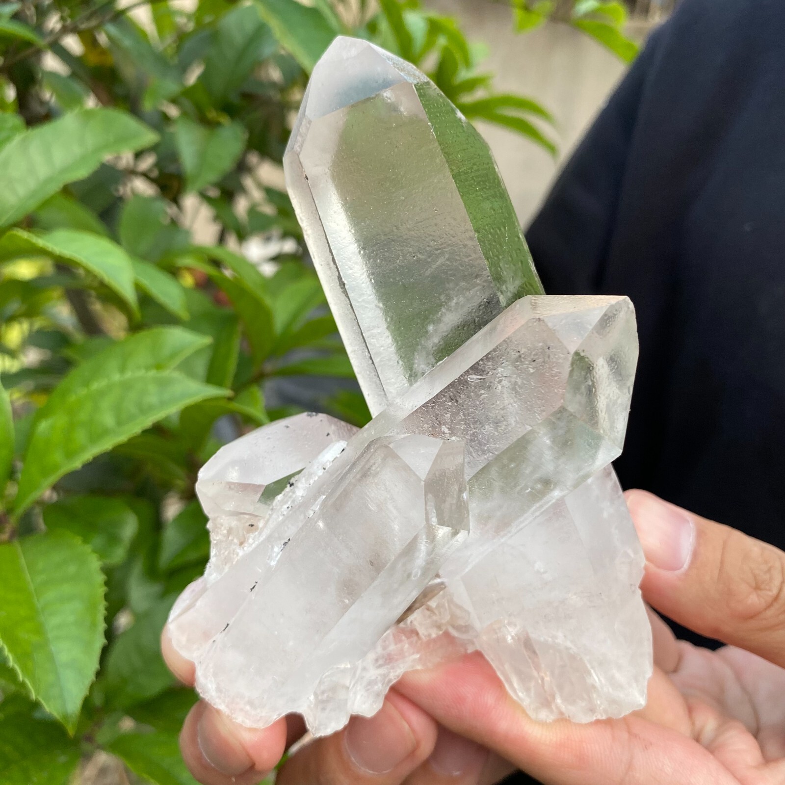 0.7lb Natural Clear White quart Crystal Cluster Raw Healing Specimen
