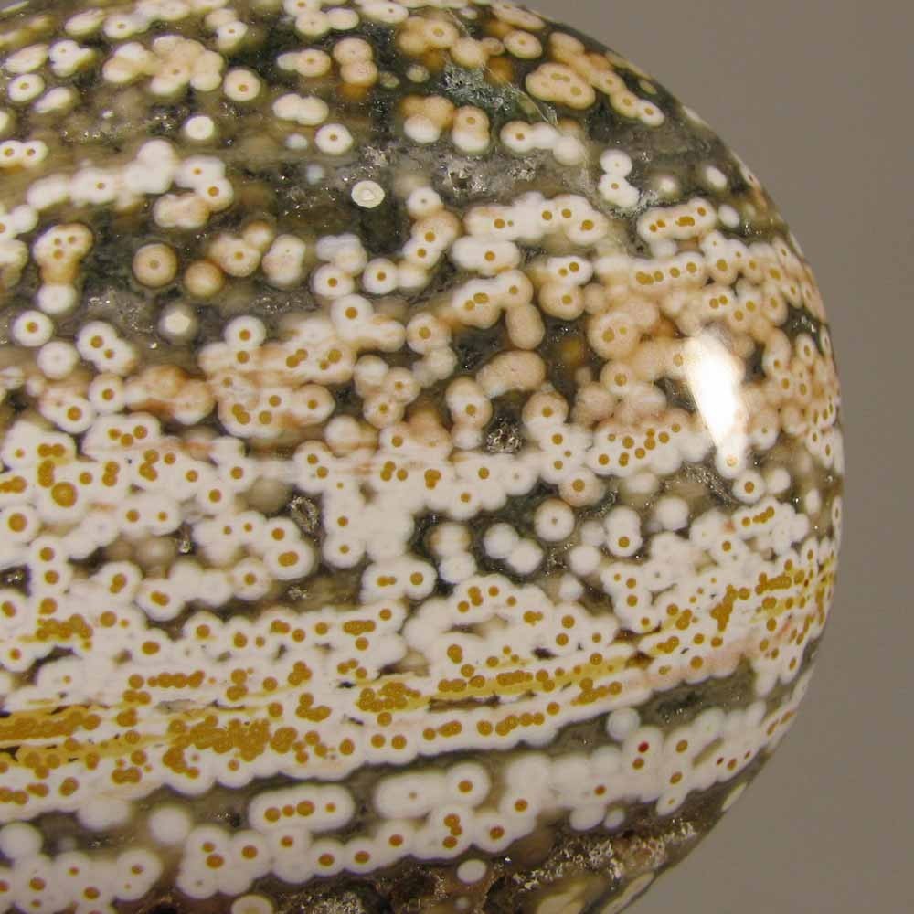 2.4″ OCEAN JASPER Polished Palm Stone Healing – Madagascar
