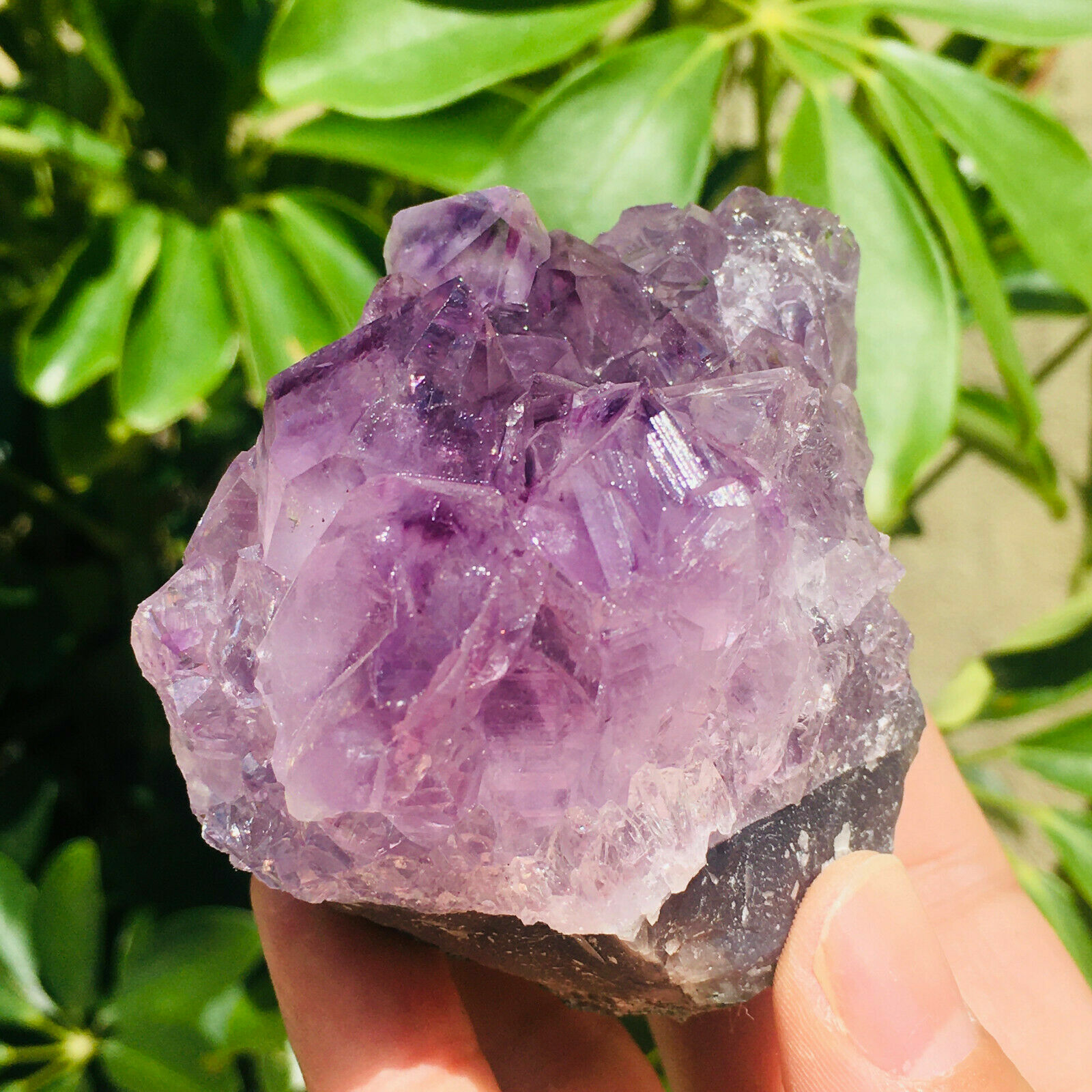 306g Natural Amethyst Geode Quartz Cluster Crystal Specimen Healing, Madagascar