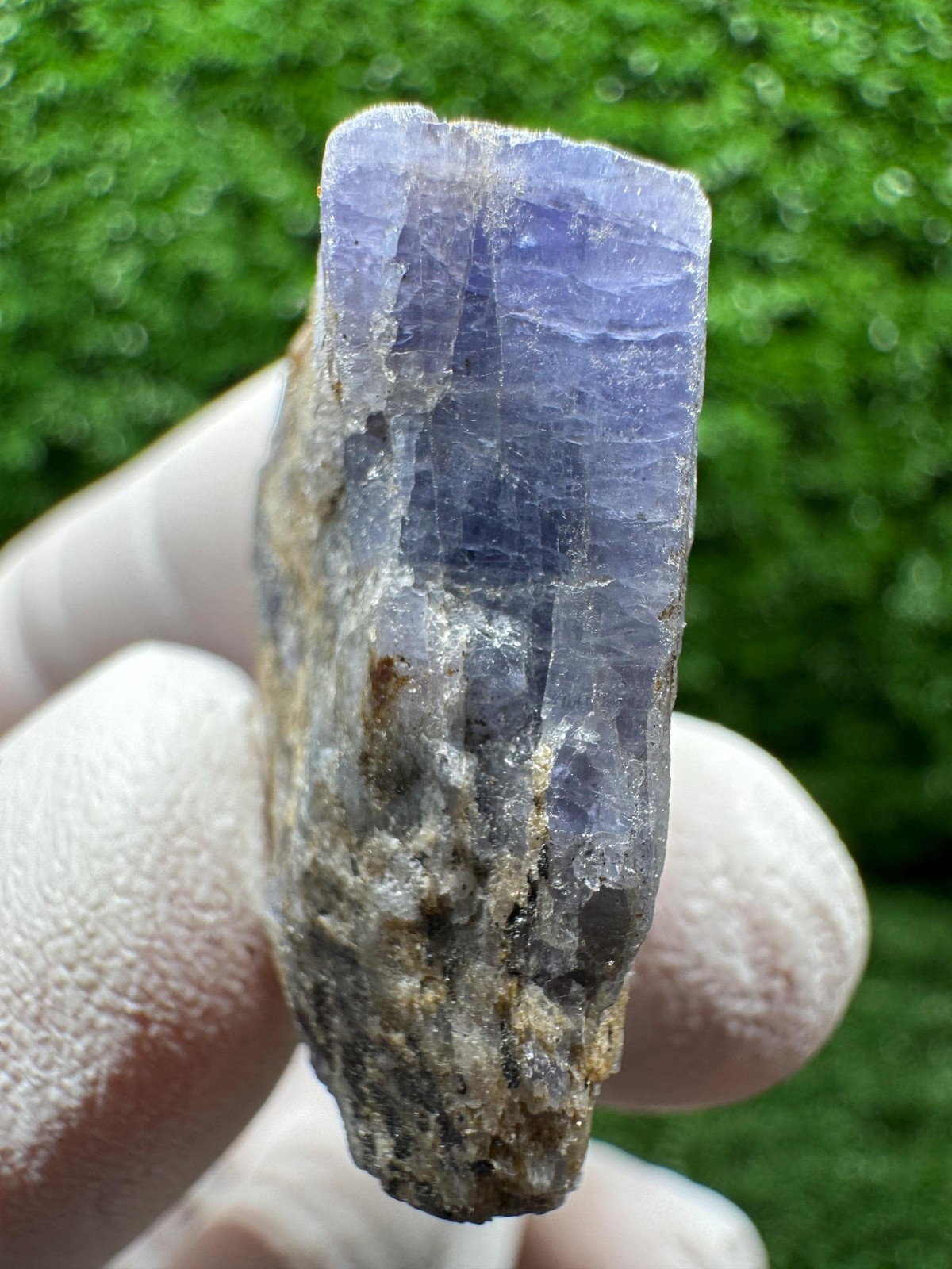 TANZANITE Crystal with COLOR CHANGE under yellow/white light / F224