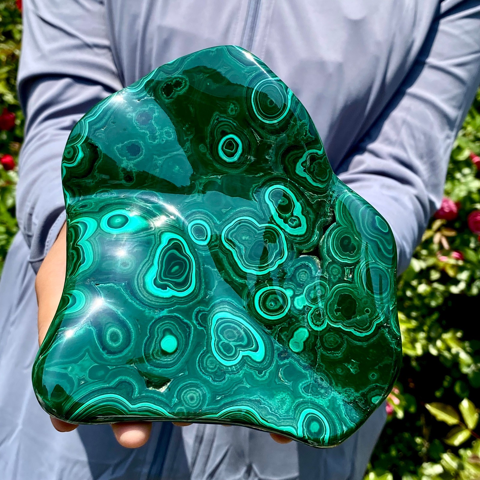 1.9LB Natural glossy Malachite transparent cluster rough mineral sample