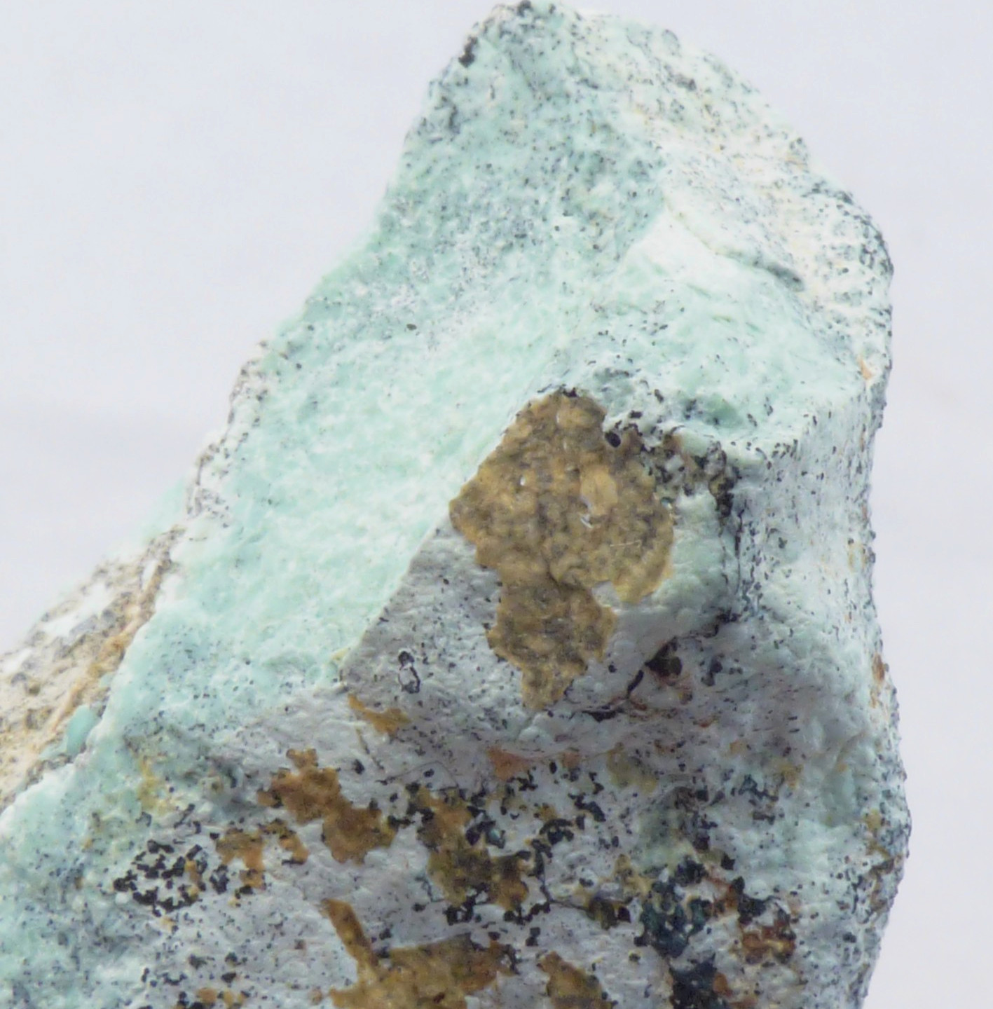 Solid Turquoise Mineral Specimen Island Park Idaho Natural Unpolished 4cm 19g