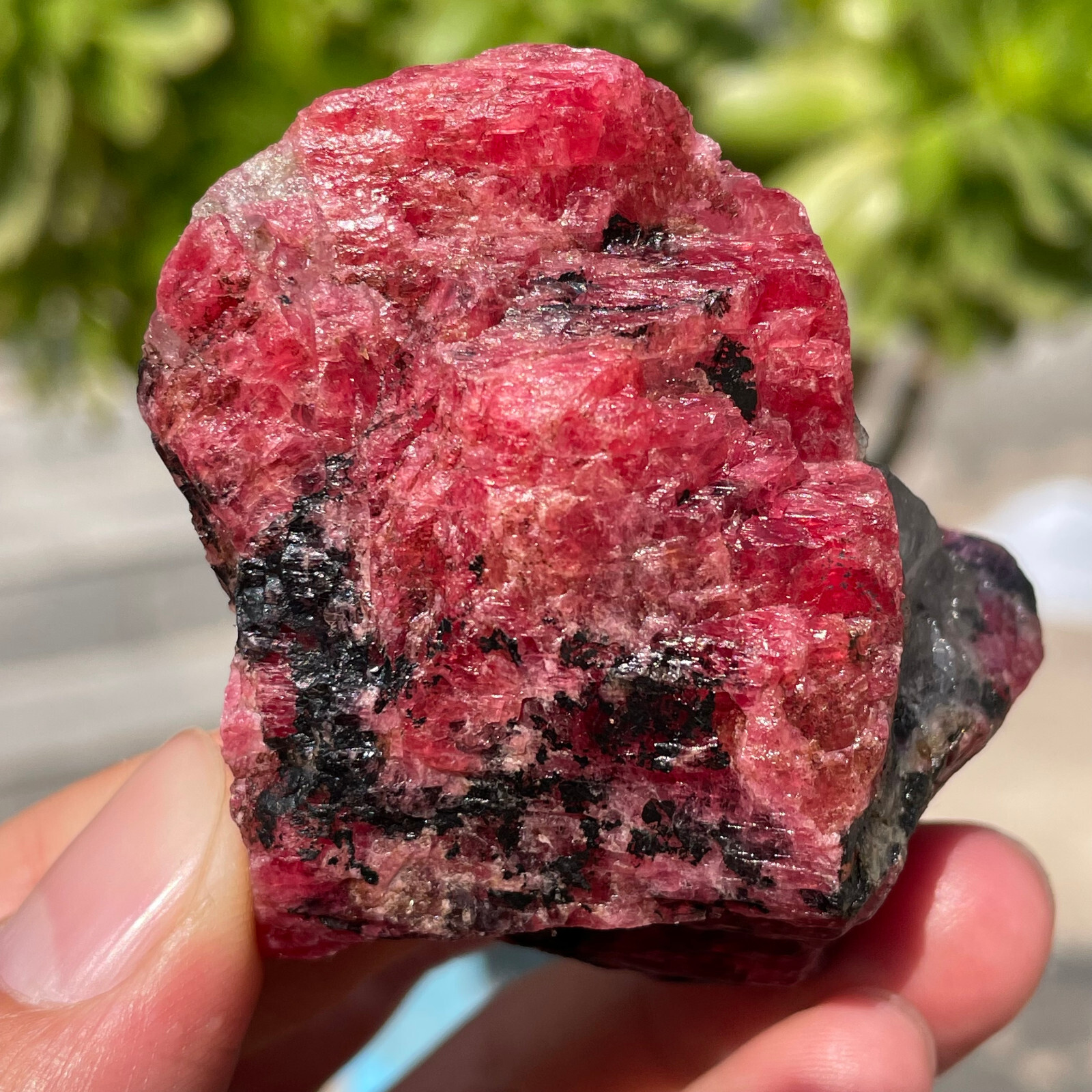 91g Small Rough Stone Natural Red Black Rhodonite Quartz Crystal Specimen