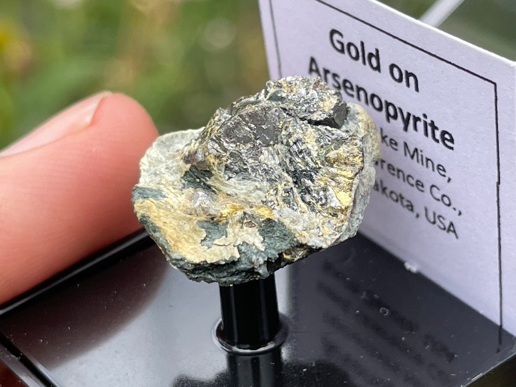Native Gold on Arsenopyrite, Homestake Mine, Lead, Lawrence Co., South Dakota