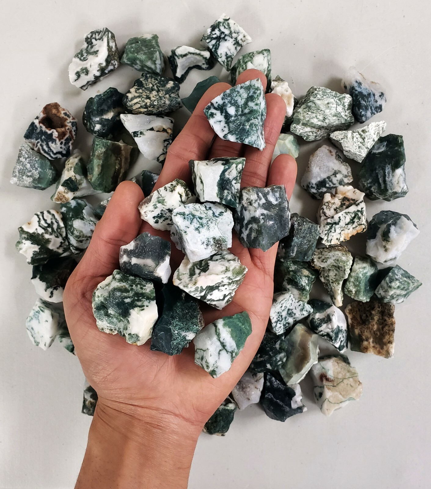 Tree Agate Crystal – 1″ to 2″ from India – Raw Crystals Bulk – Healing Crystals