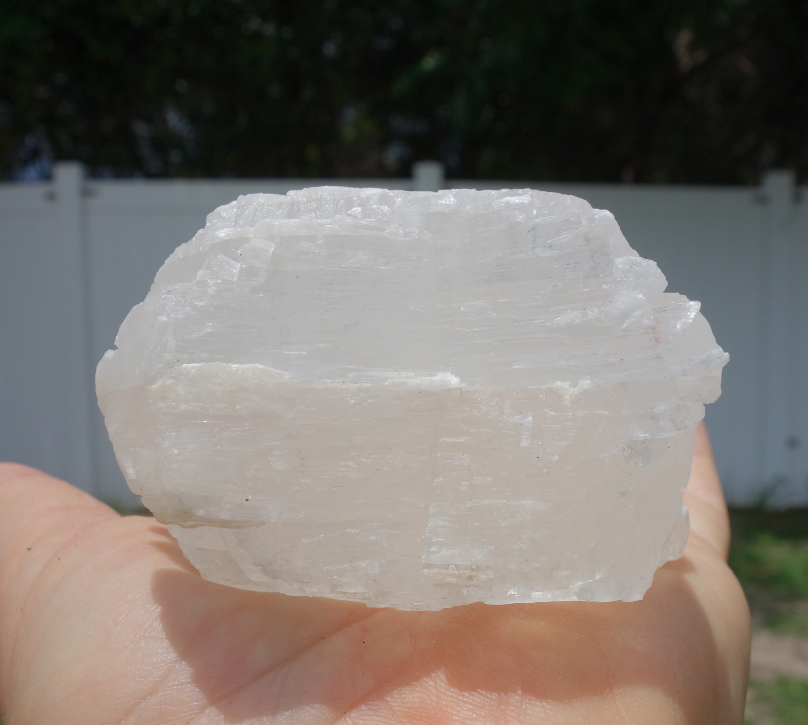 Shiny Large FISHTAIL SELENITE Natural Crystal Point from Naica Mexico For Sale