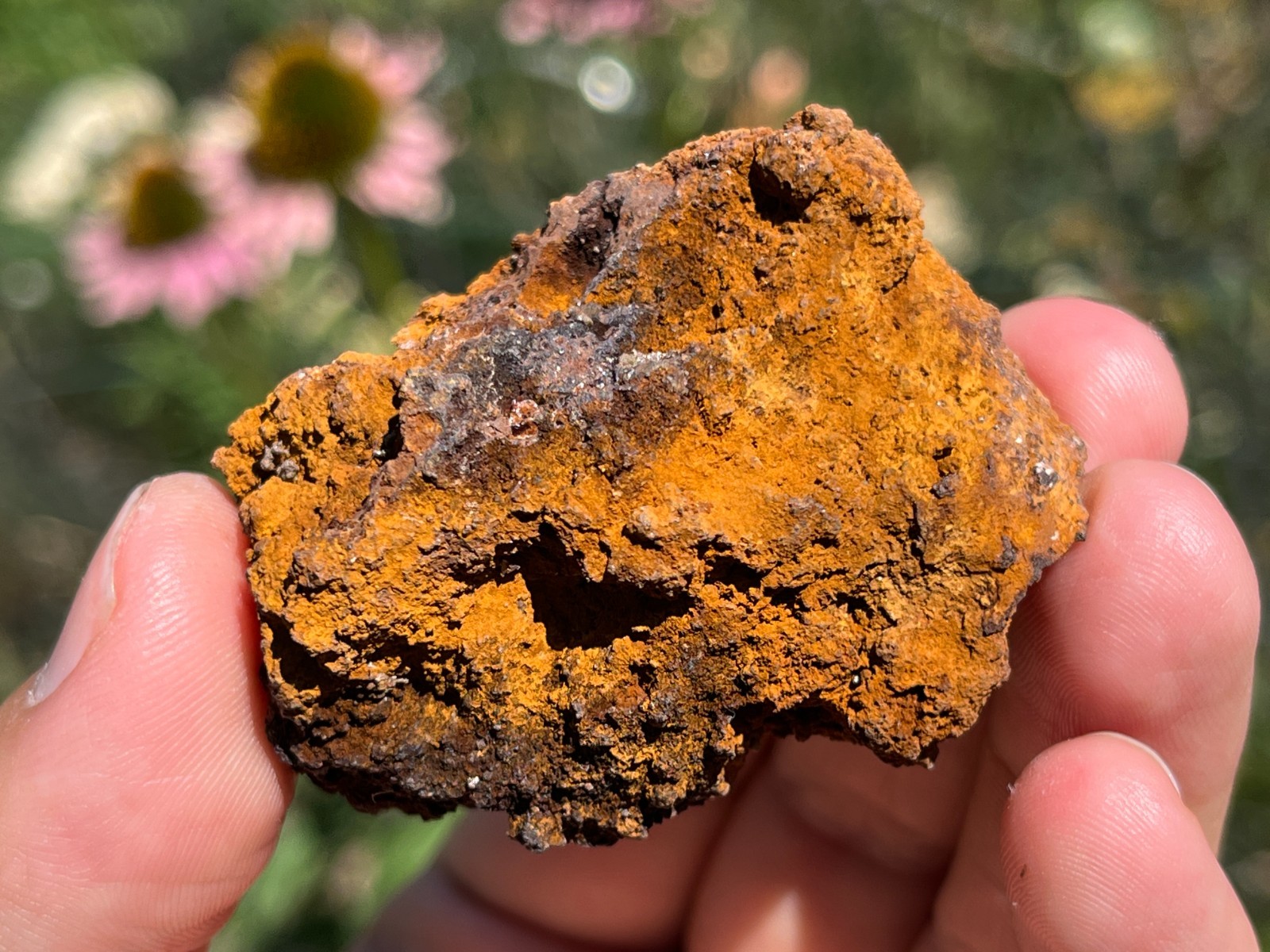Chlorargyrite on Limonite- Broken Hill, Yancowinna Co., NSW, Australia