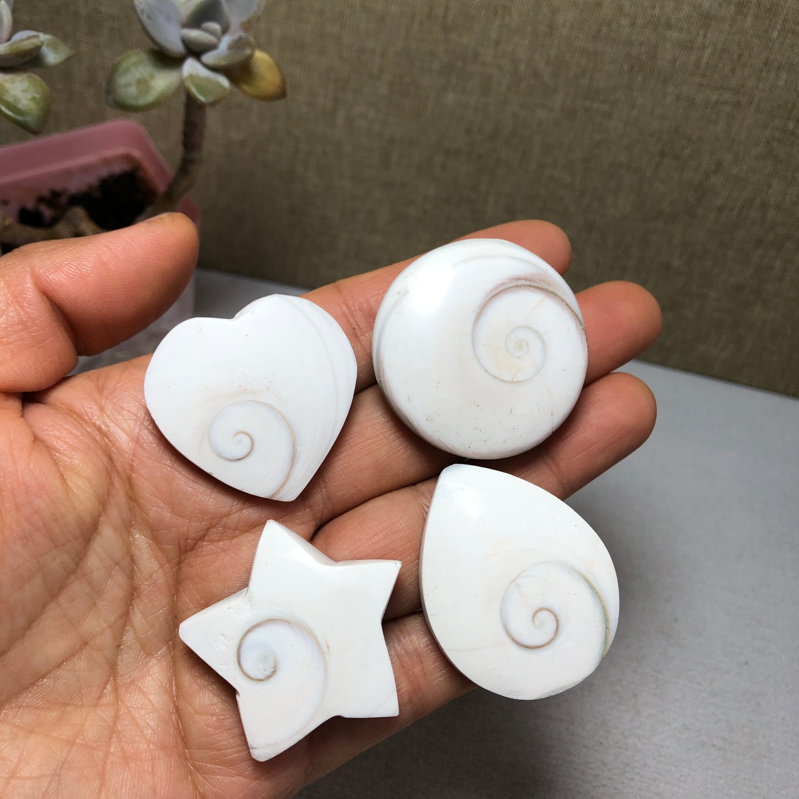 4pcs Rare sun shell Reiki Shiva Eye ocean semi-precious stone 75g A2758
