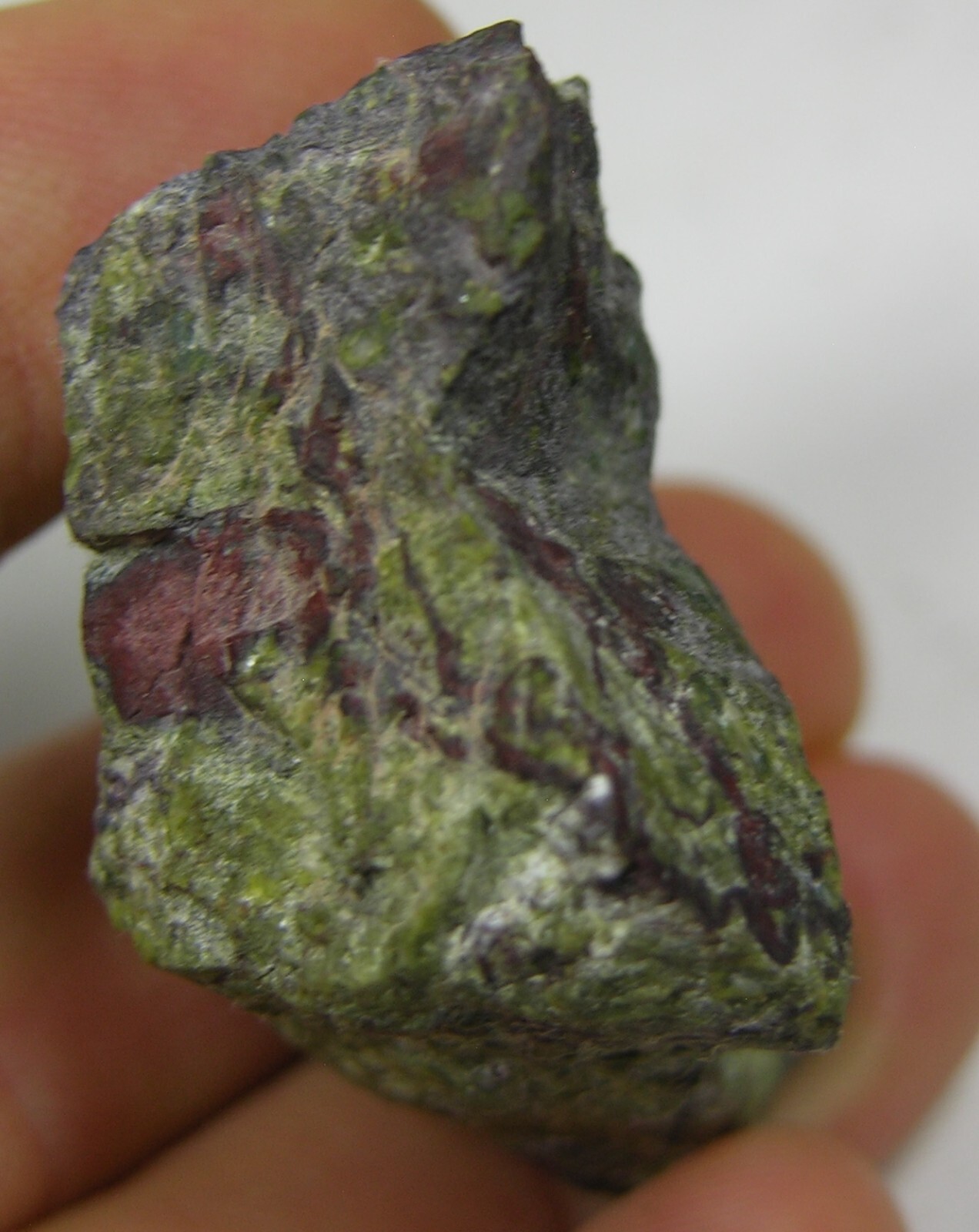 #2 China 1.50 oz Natural Rough Raw Heliotrope Bloodstone Specimen 42.00g 34mm