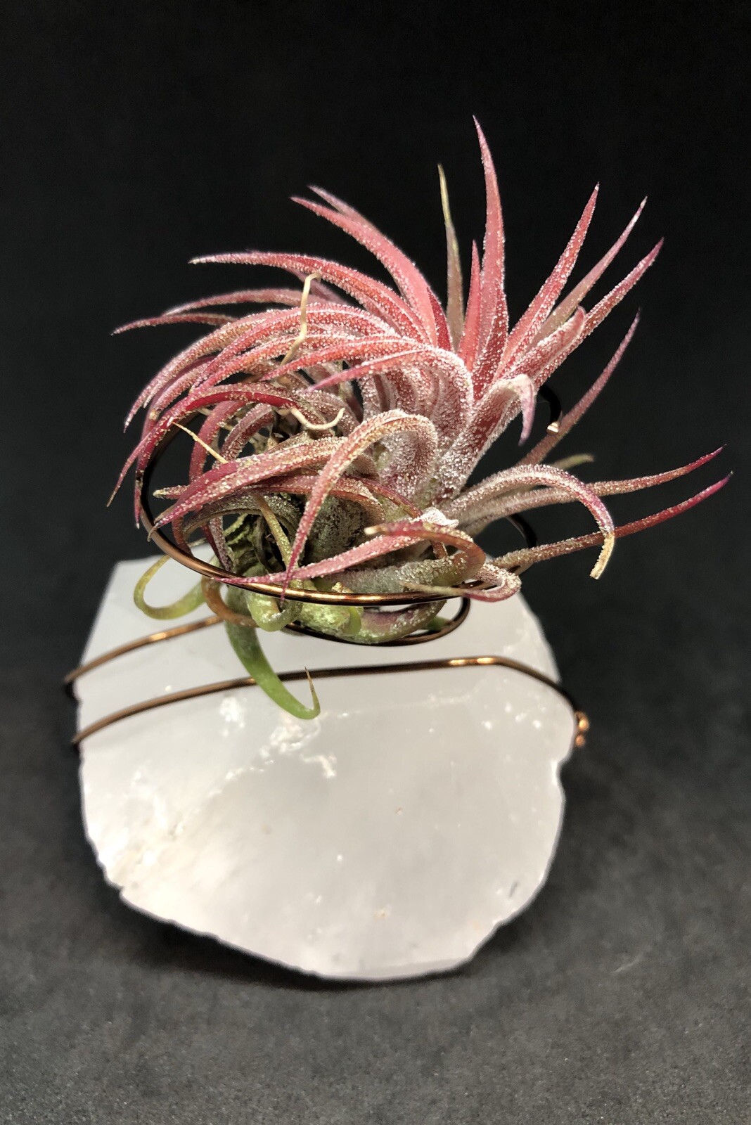 Quartz Crystal Air Planter, 240g, Reiki, Air Purifying Plant
