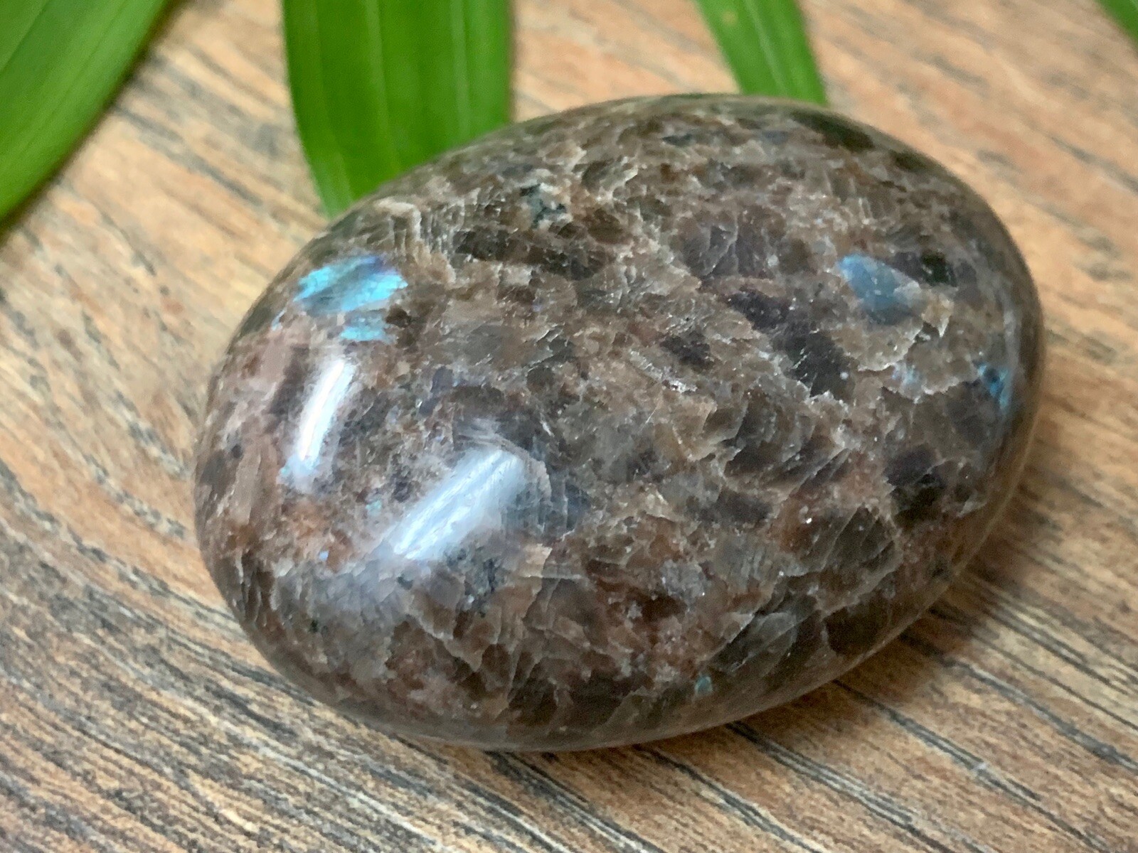 Galaxy Palm Stone Large Soap Stone Flat Therapy Meditation Specimen Reiki Cha