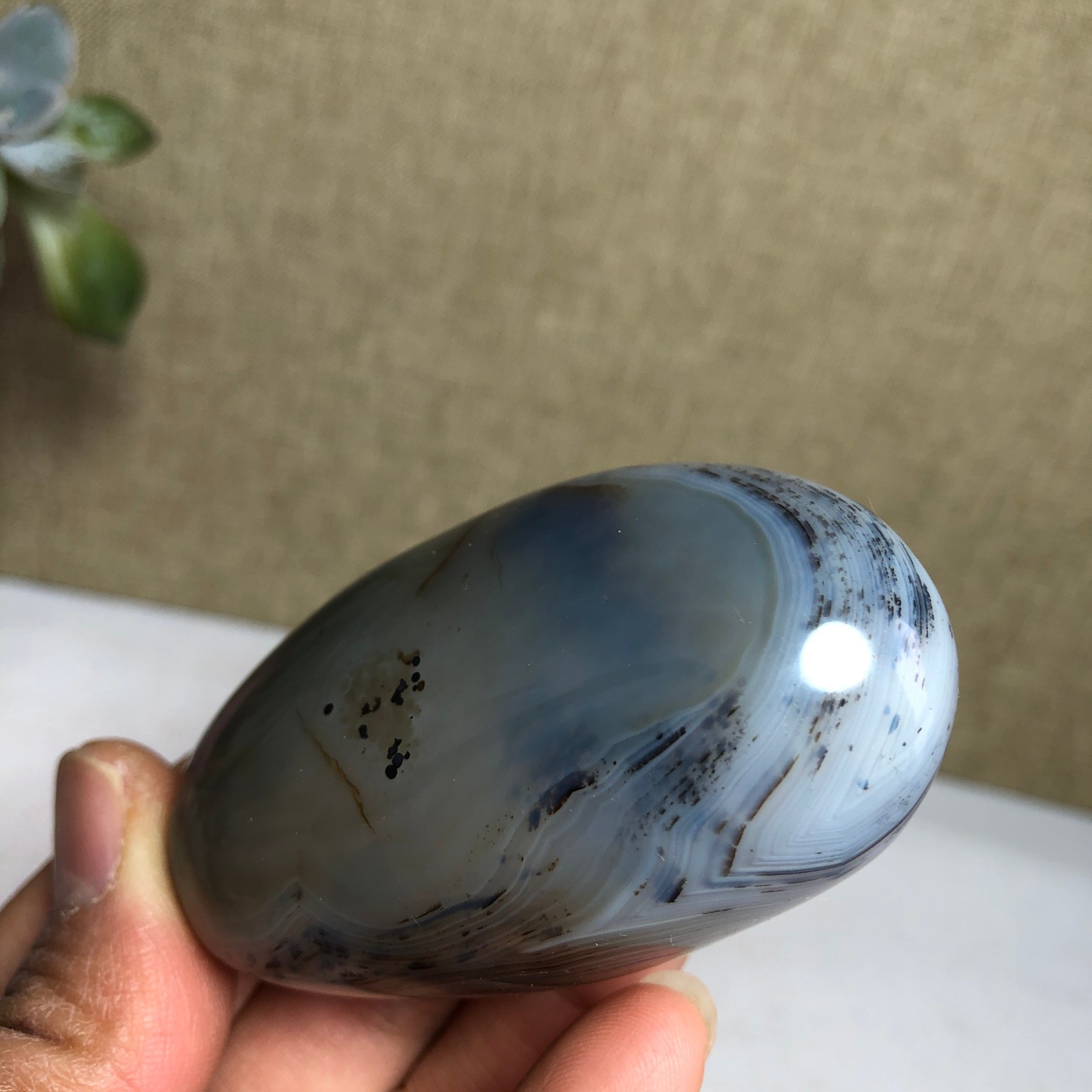 68mm Natural aquatic plants agate pretty Crystal specimens 102g A1958