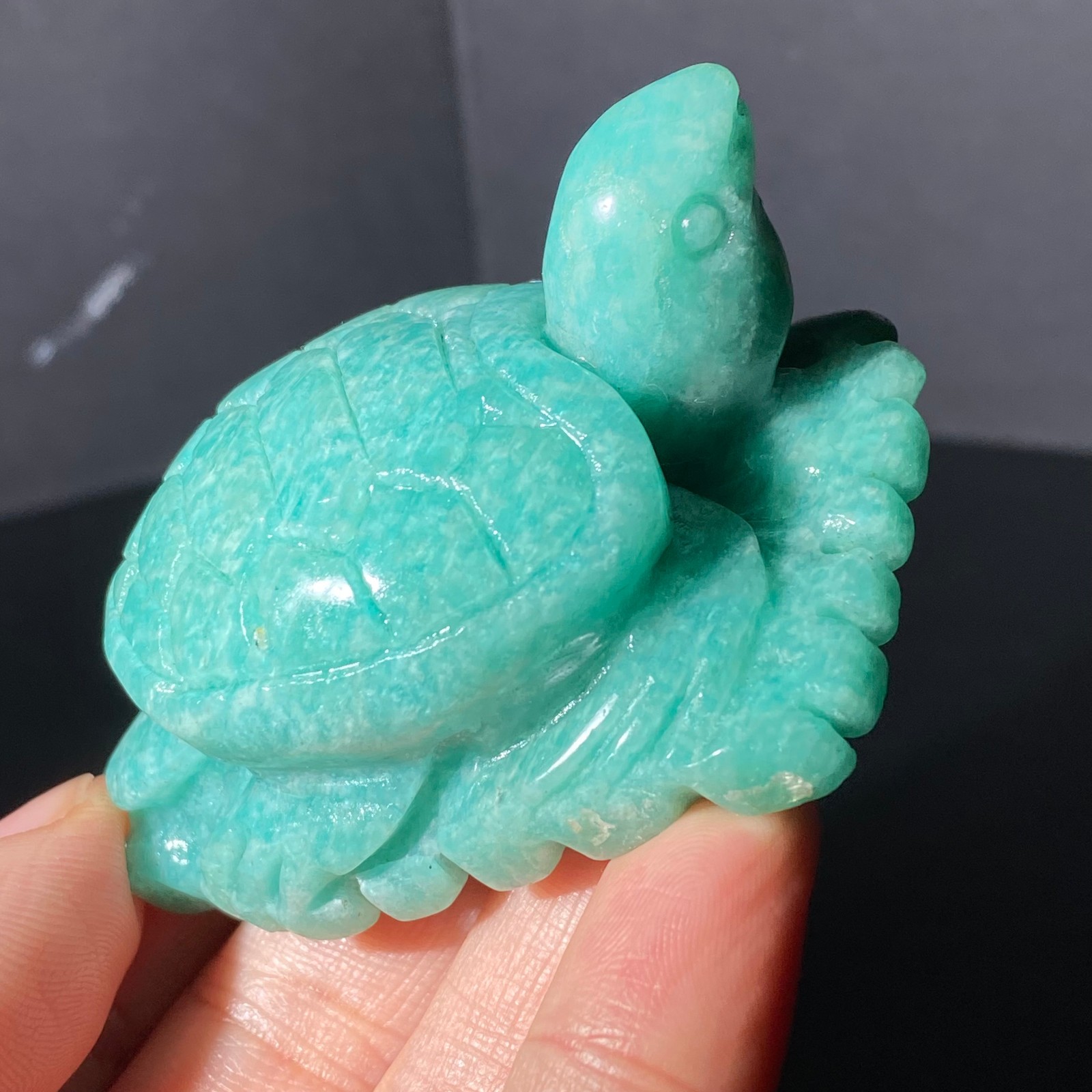 108G Natural Tianhe stone Turtle Quartz Tortoise Carved Crystal Skull Healing